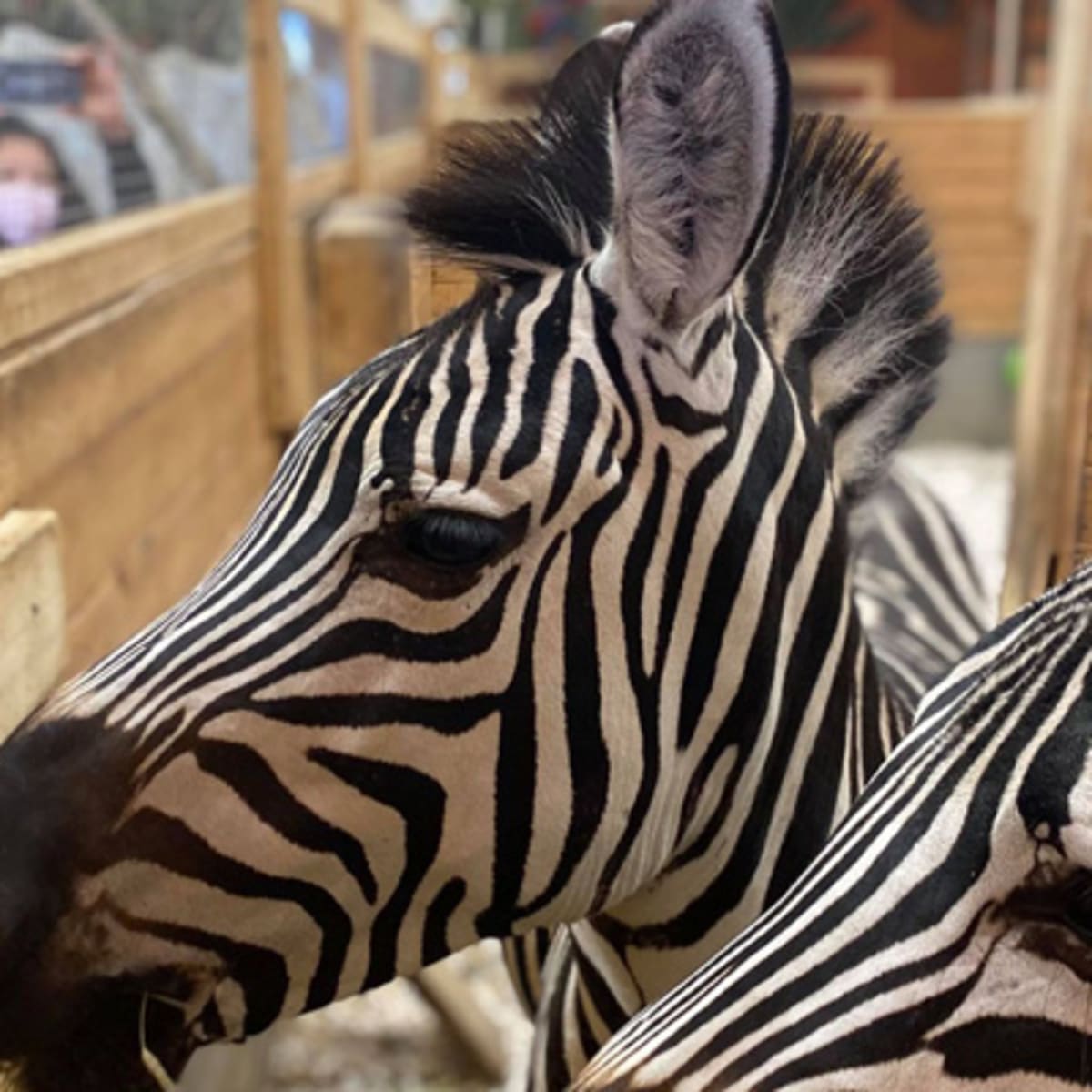 familizoo_5