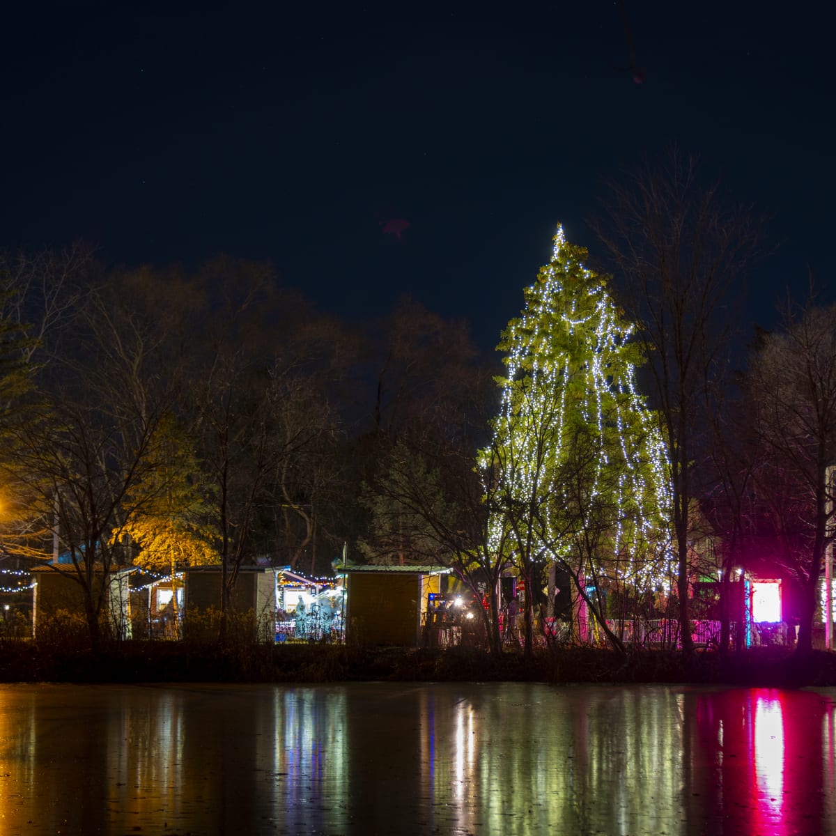 feerie_au_lac_du_village_10