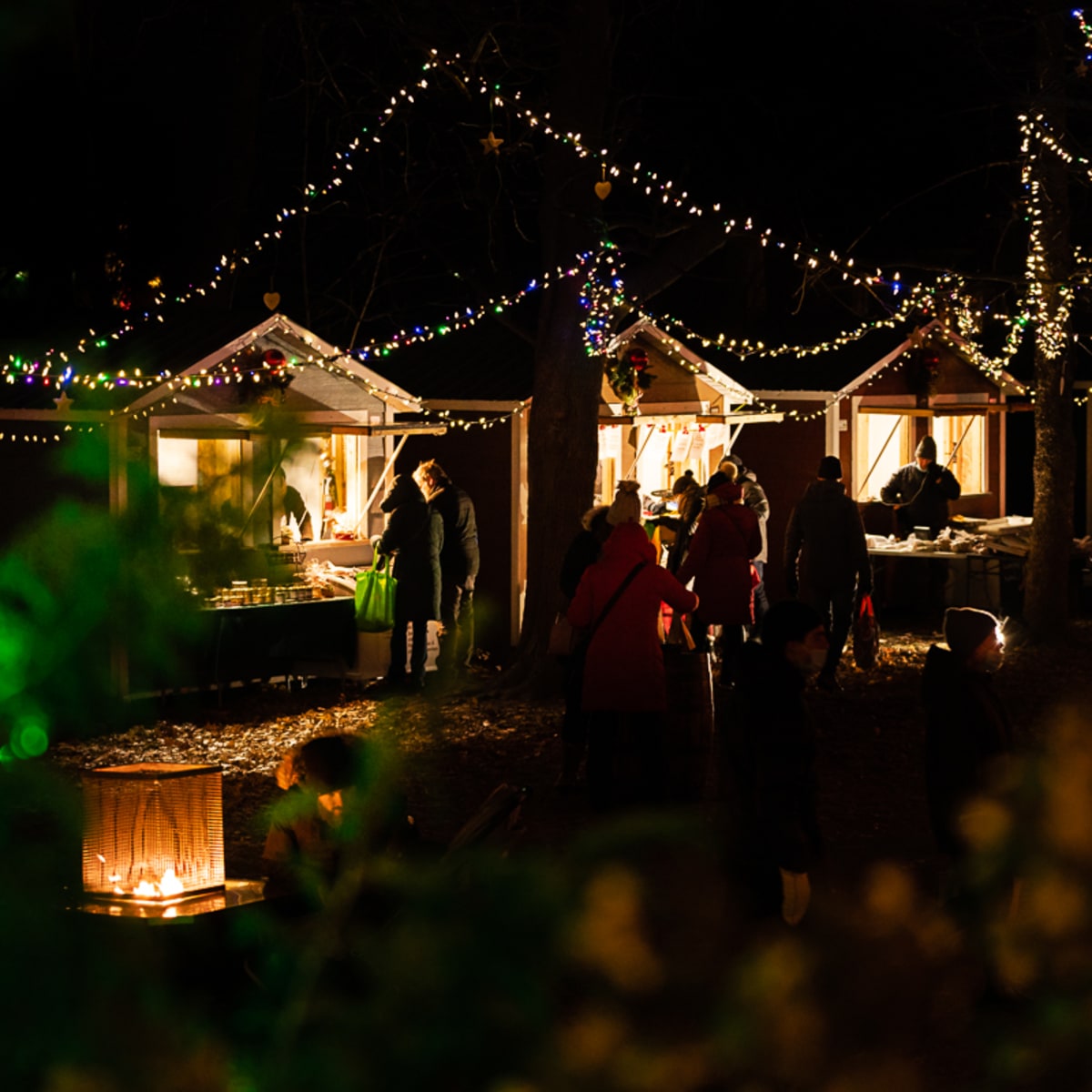 feerie_au_lac_du_village_7