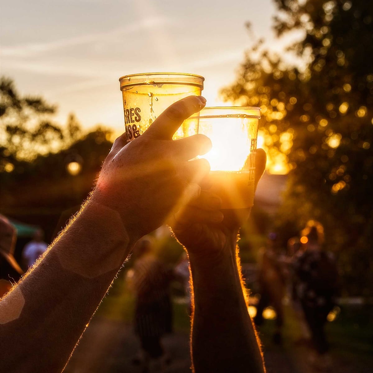 festival_bieres_vins__terroir_1
