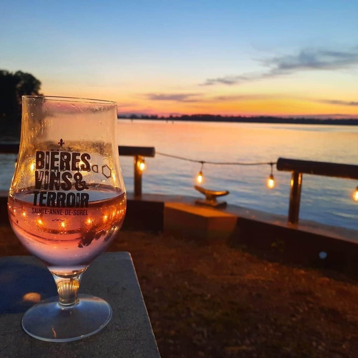 festival_bieres_vins__terroir_14