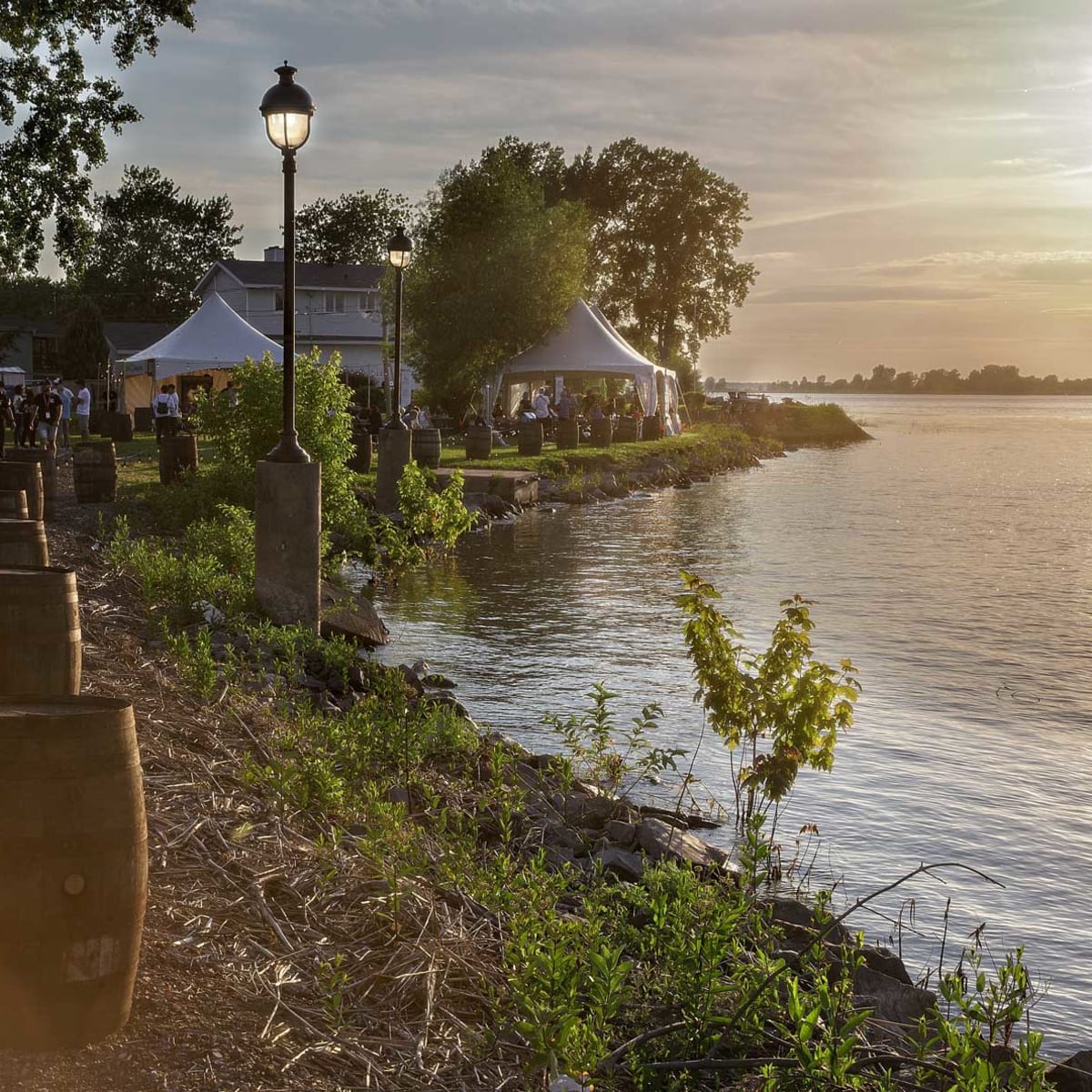 festival_bieres_vins__terroir_2