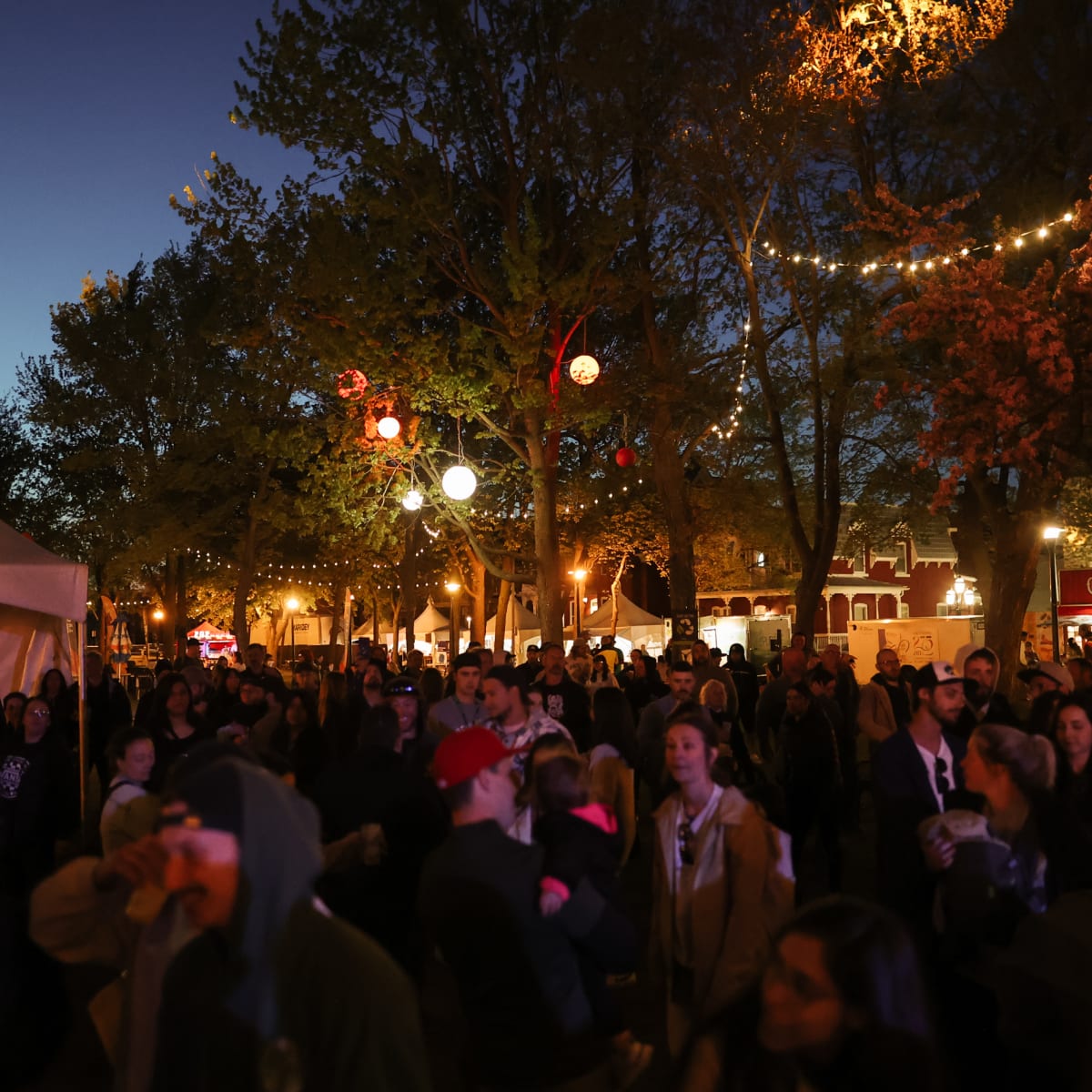 festival_bouffe_biere__boisson_19