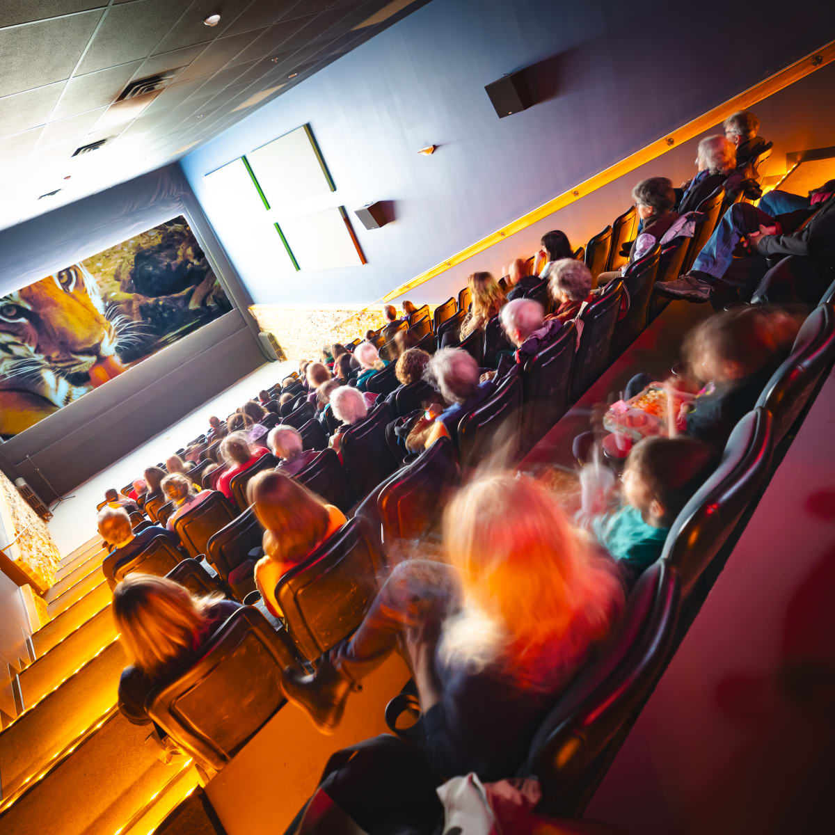 festival_cinema_du_monde_de_sherbrooke_1