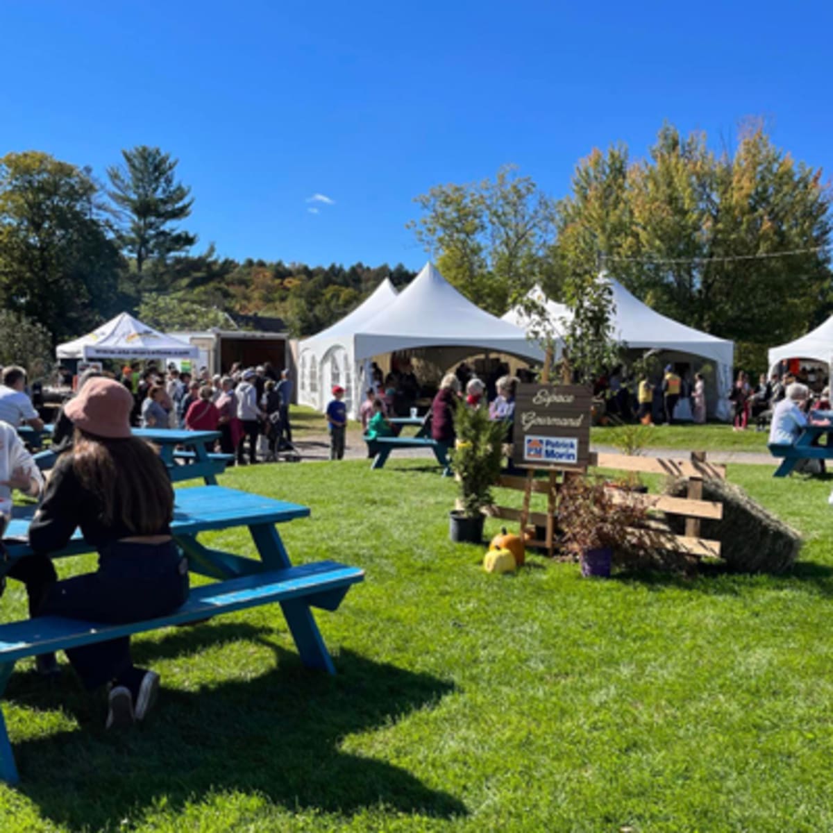 festival_des_artisans_de_sainte_marcelline_de_kildare_2_a