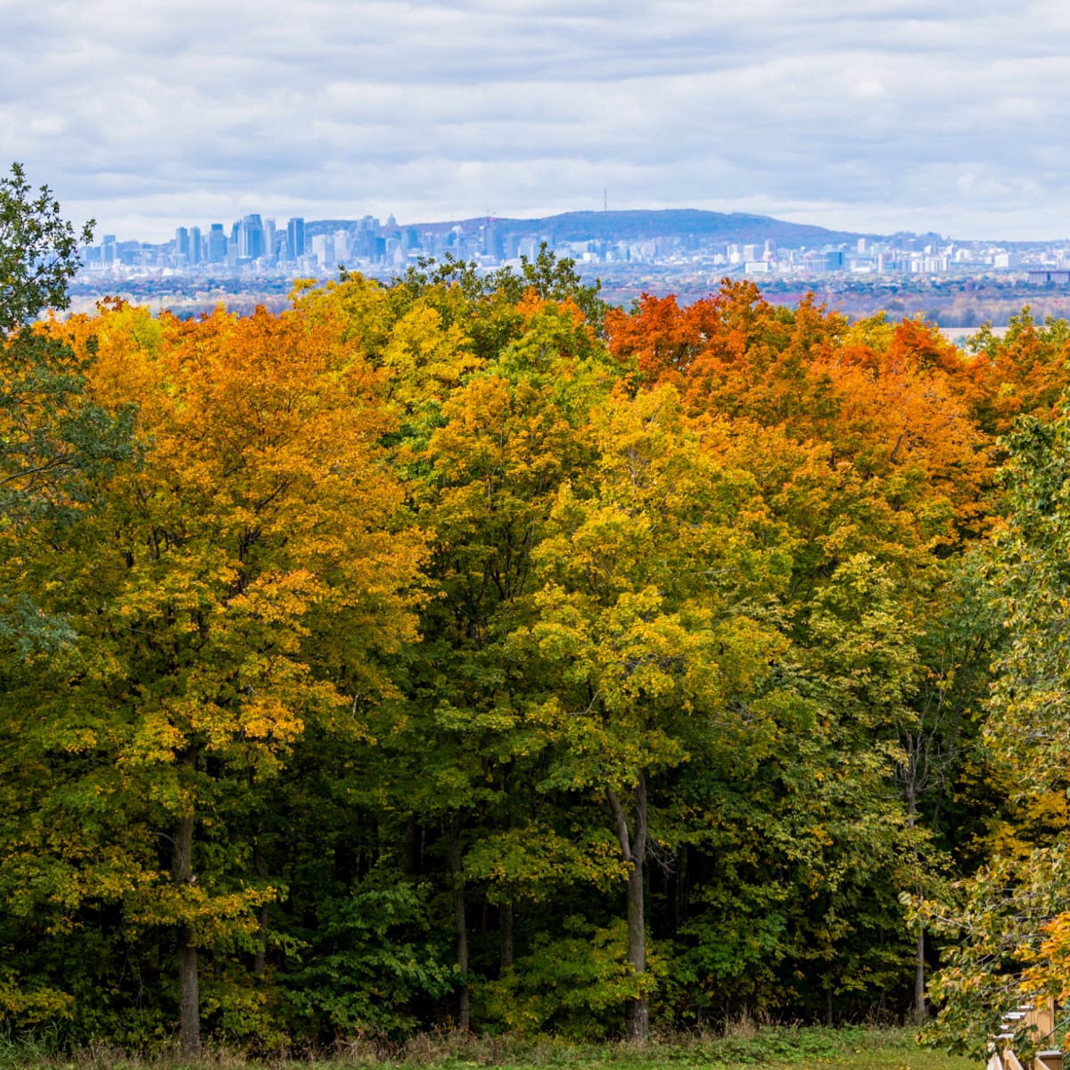 festival_des_couleurs_du_ski_saint_bruno_6