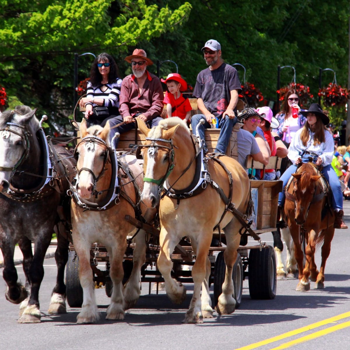festival_du_cheval_de_princeville_1