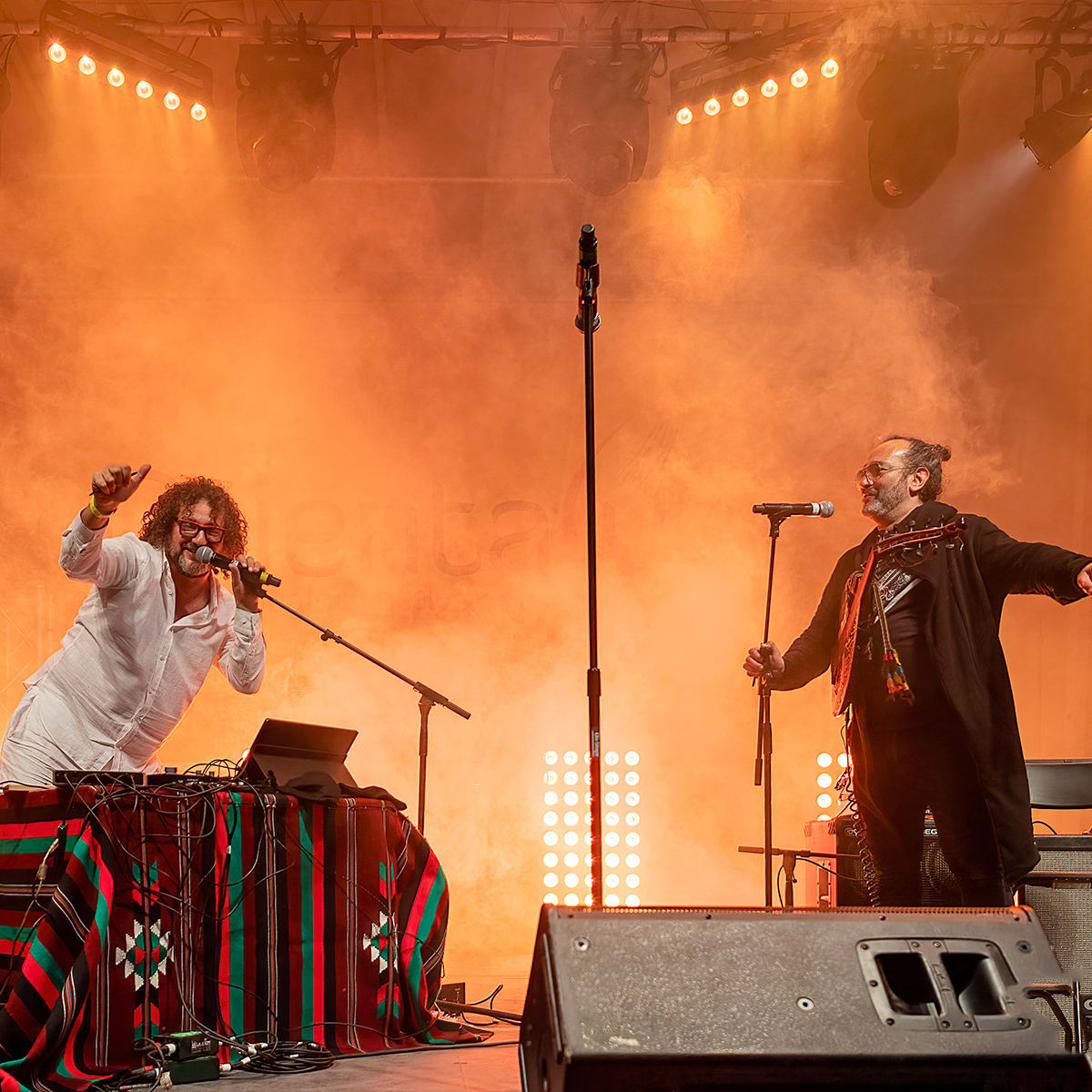 festival_du_monde_arabe_de_montreal_1_a
