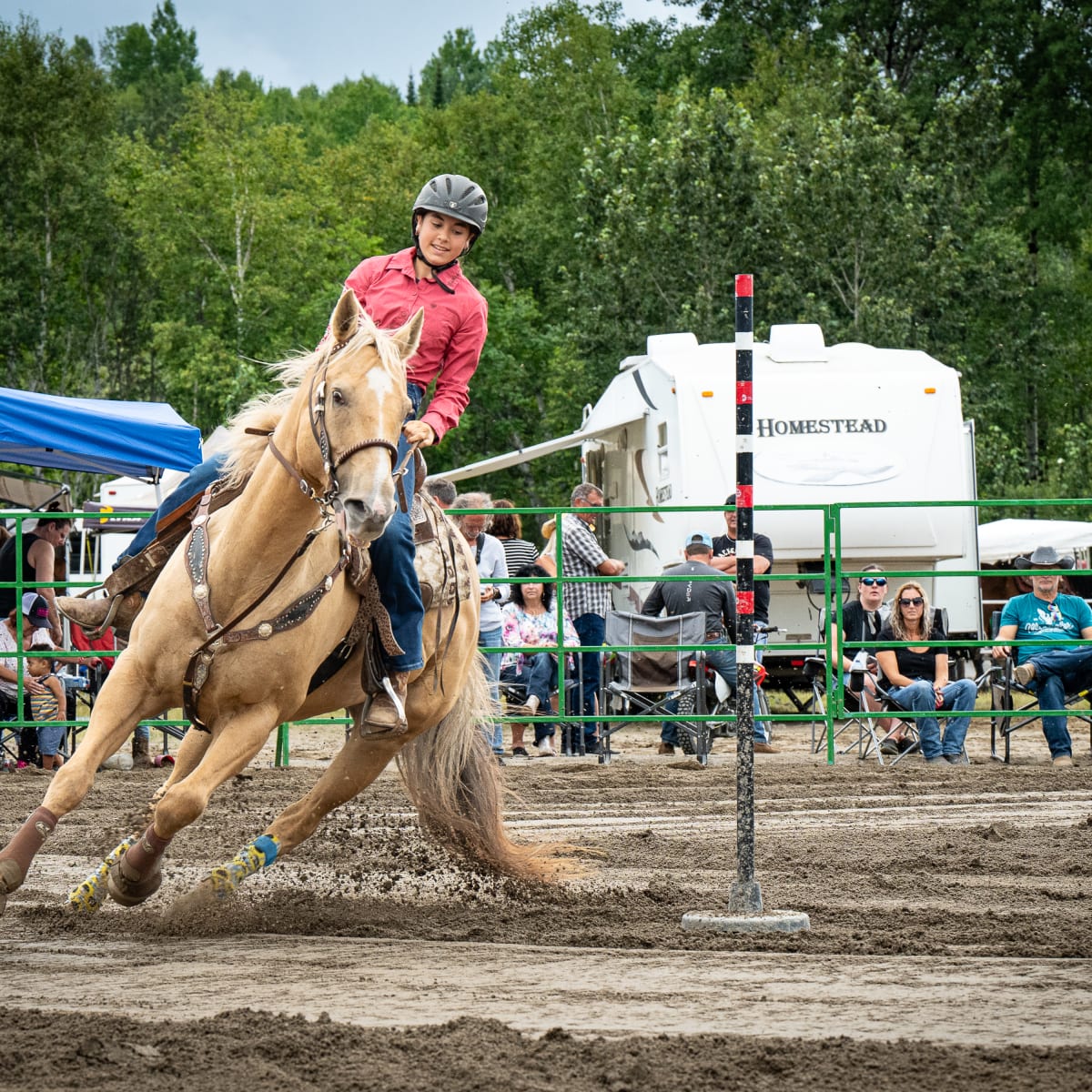 festival_gymkhana_de_falardeau_1