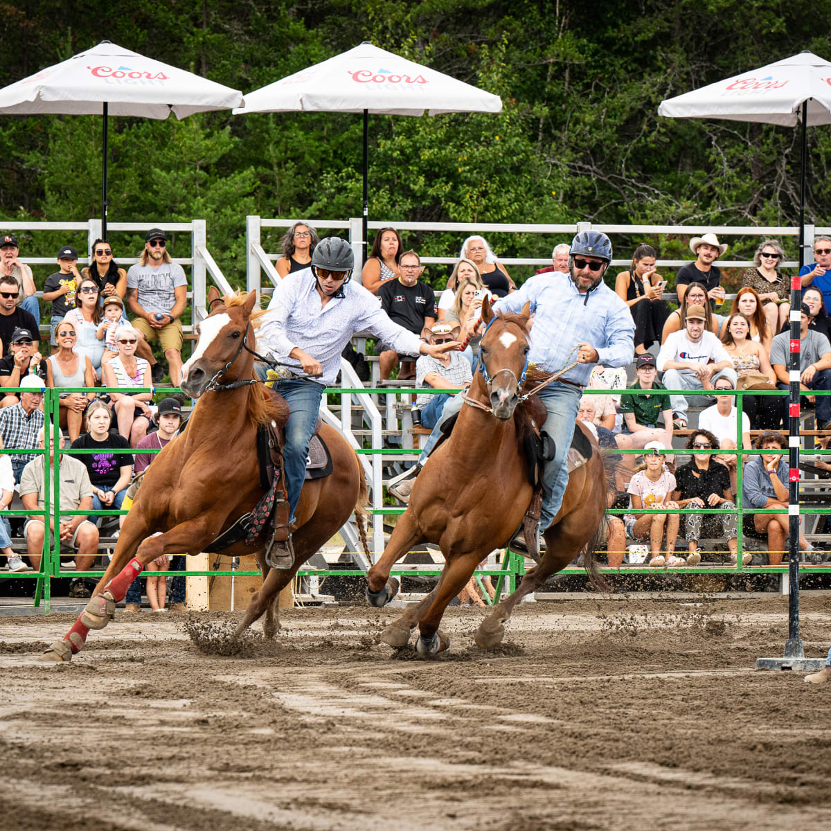 festival_gymkhana_de_falardeau_3
