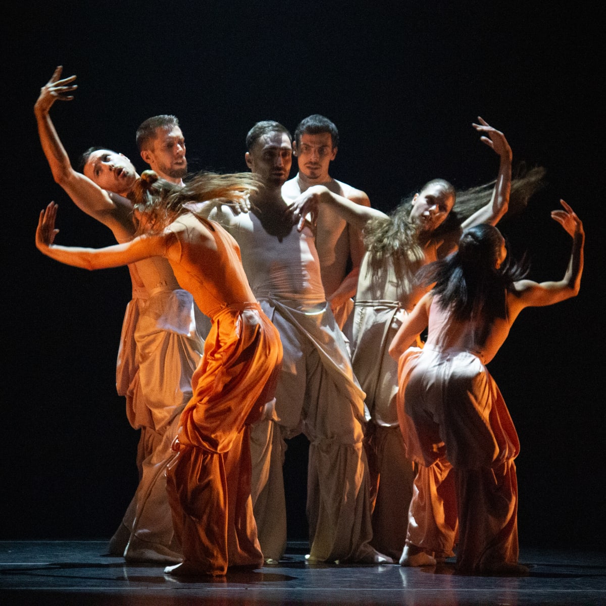 festival_international_dansencore_1