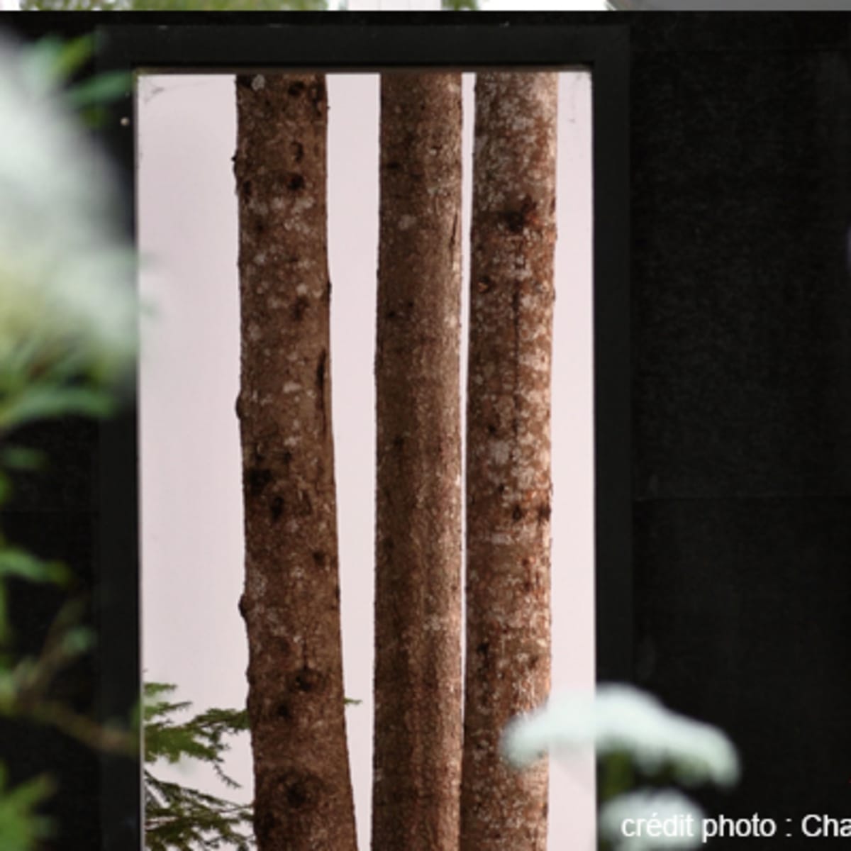 festival_international_de_jardins_2