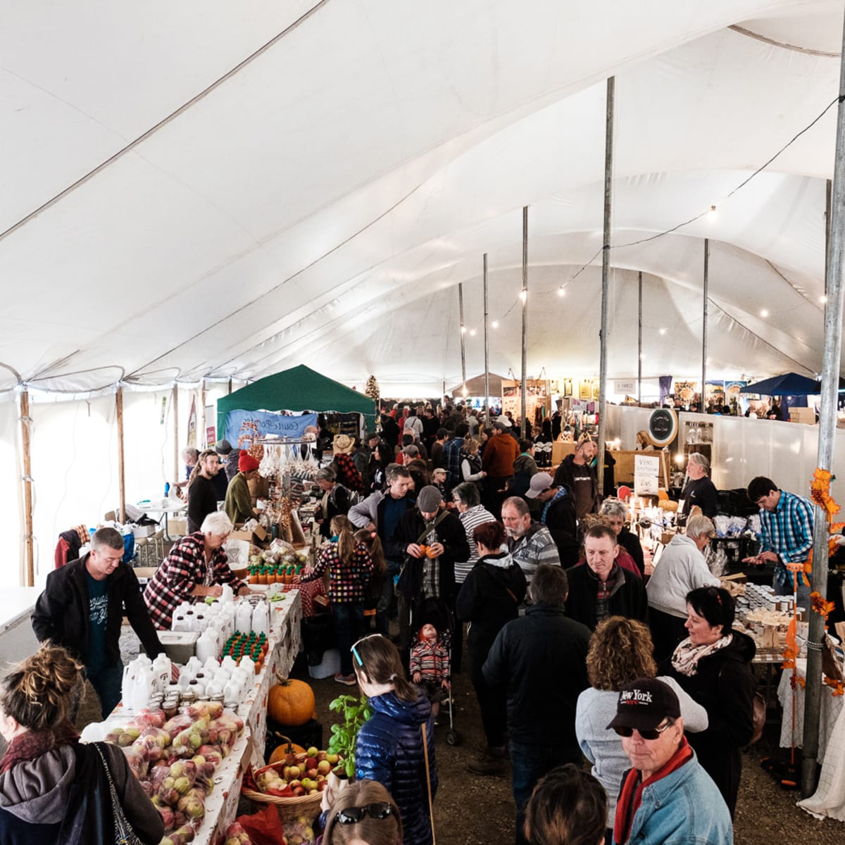 festival_la_viree_4
