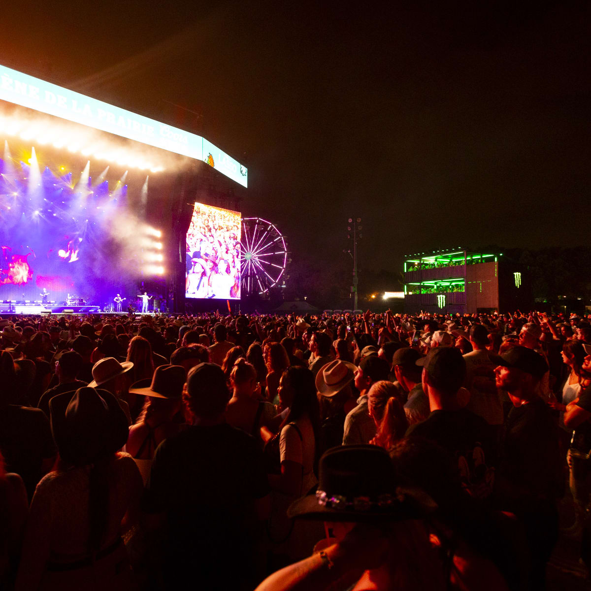 festival_lasso_montreal_3