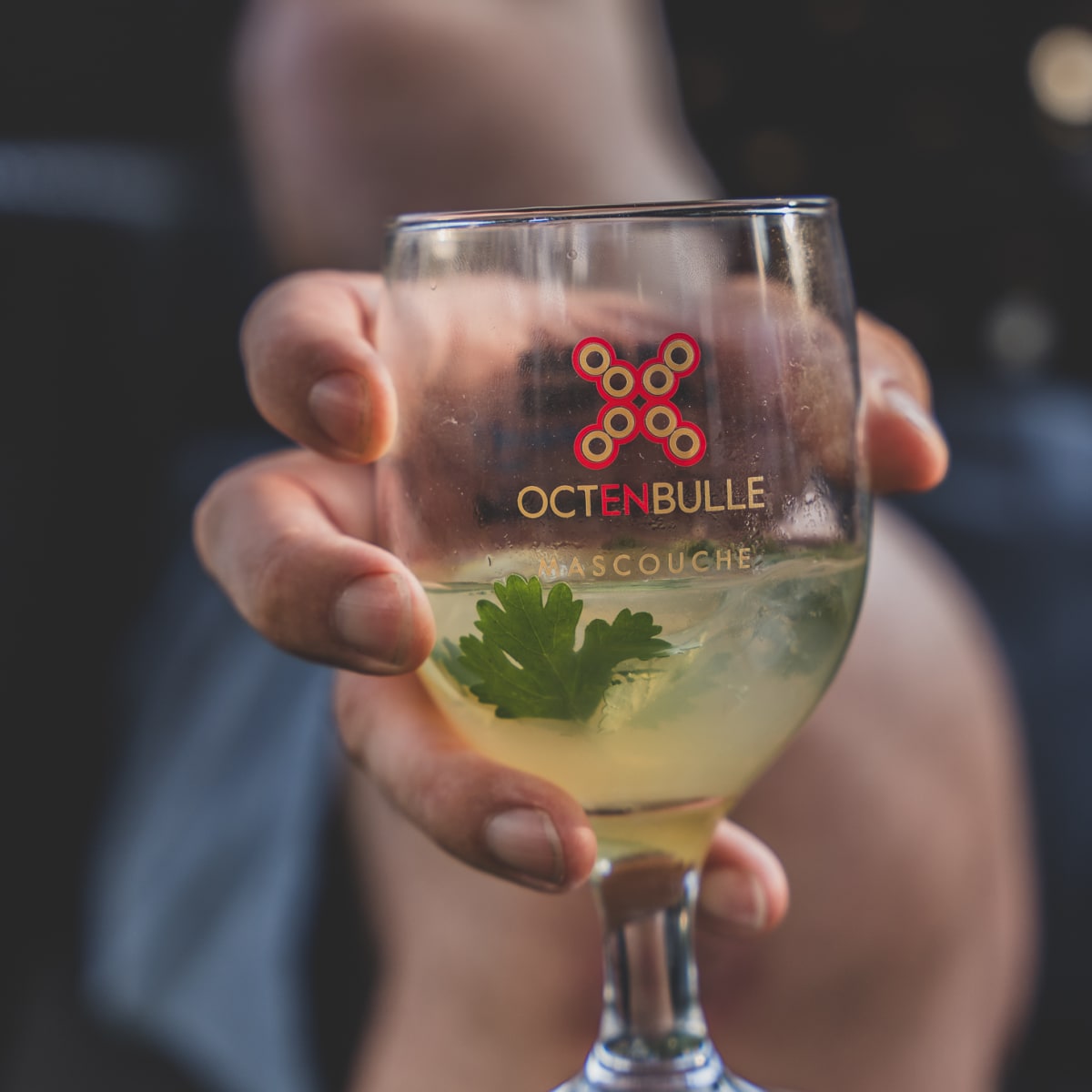 festival_octenbulle_de_mascouche_5