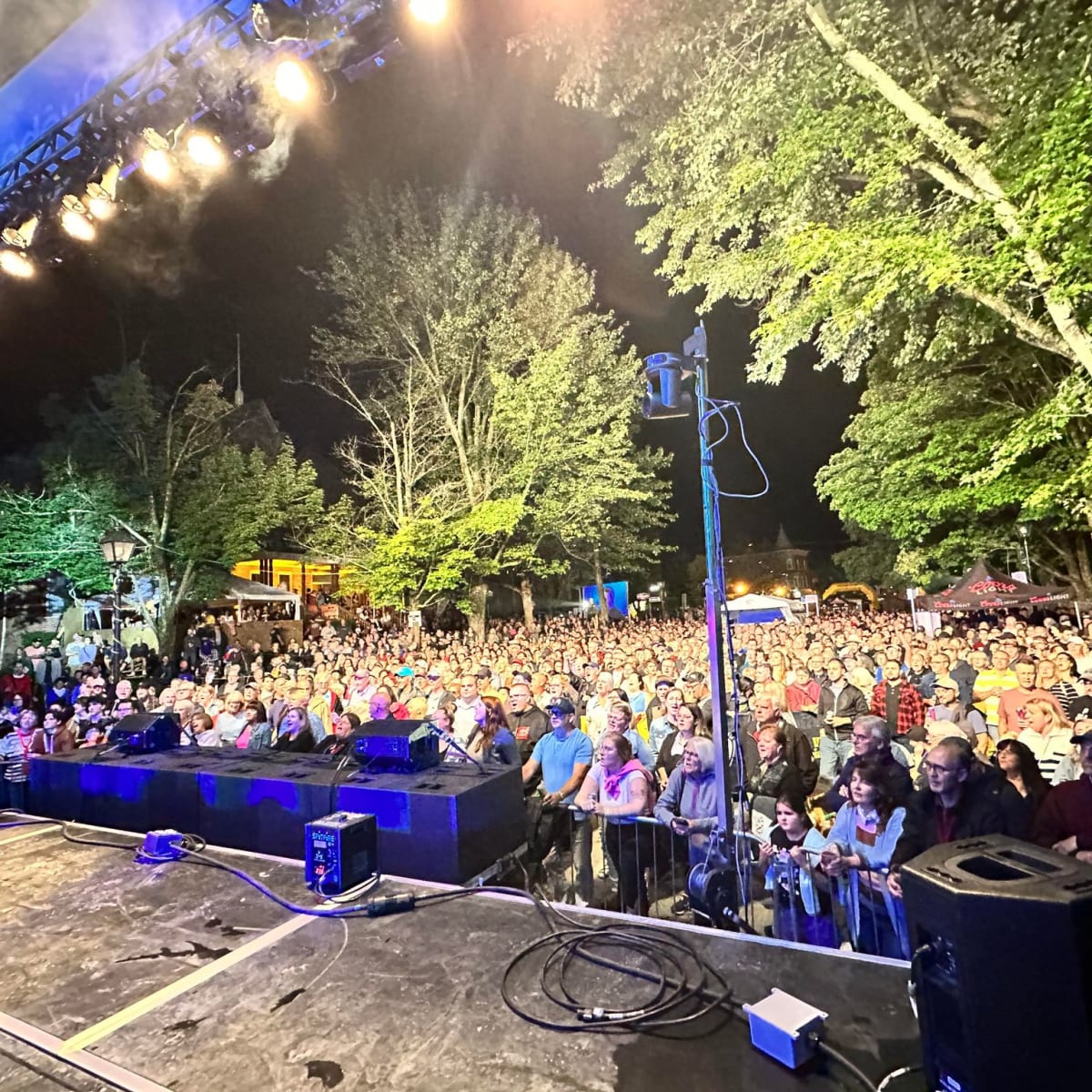 festival_promutuel_de_la_releve_de_thetford_mines_4
