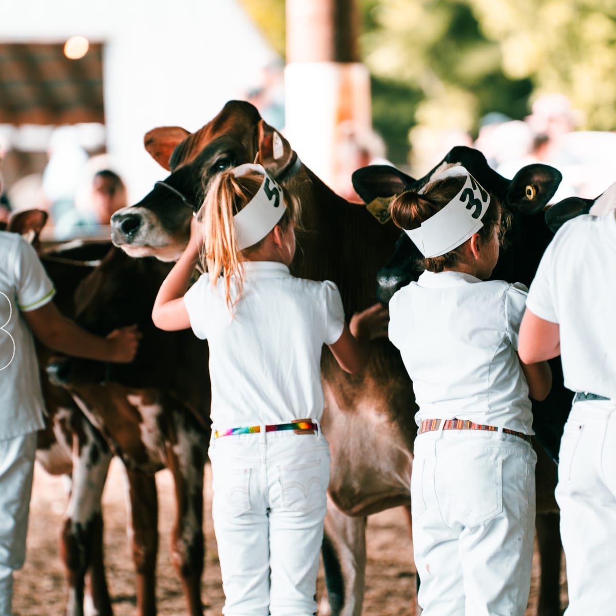 foire_de_havelock_2