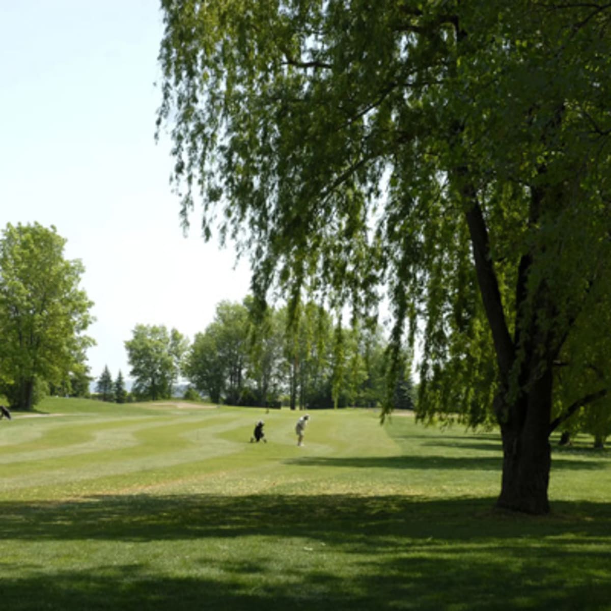 golf_dorval_1