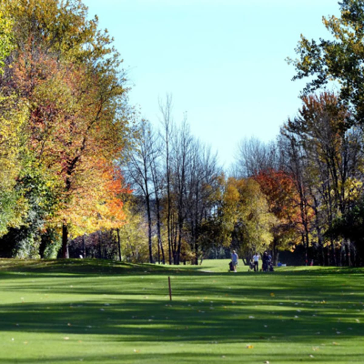 golf_dorval_1_a