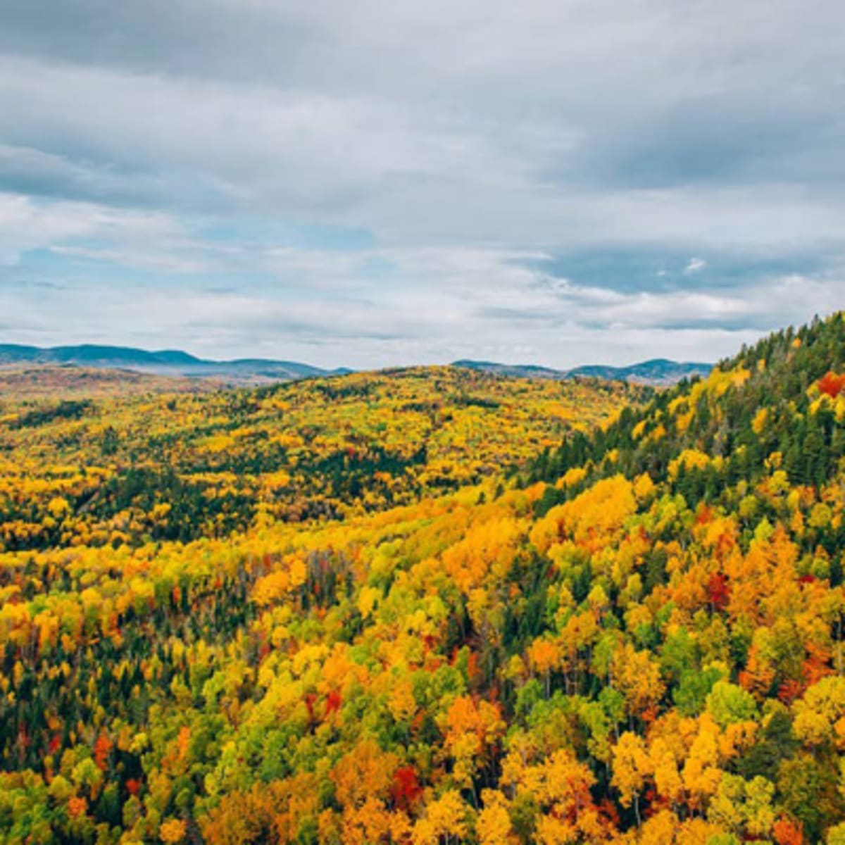 heli_charlevoix_1_a