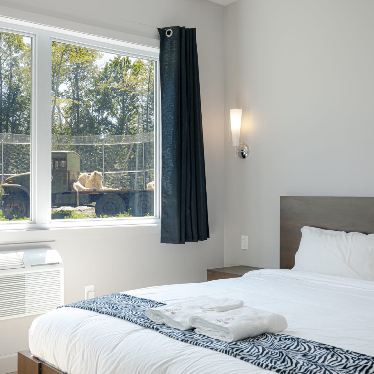 hotel_de_la_cite_perdue_1