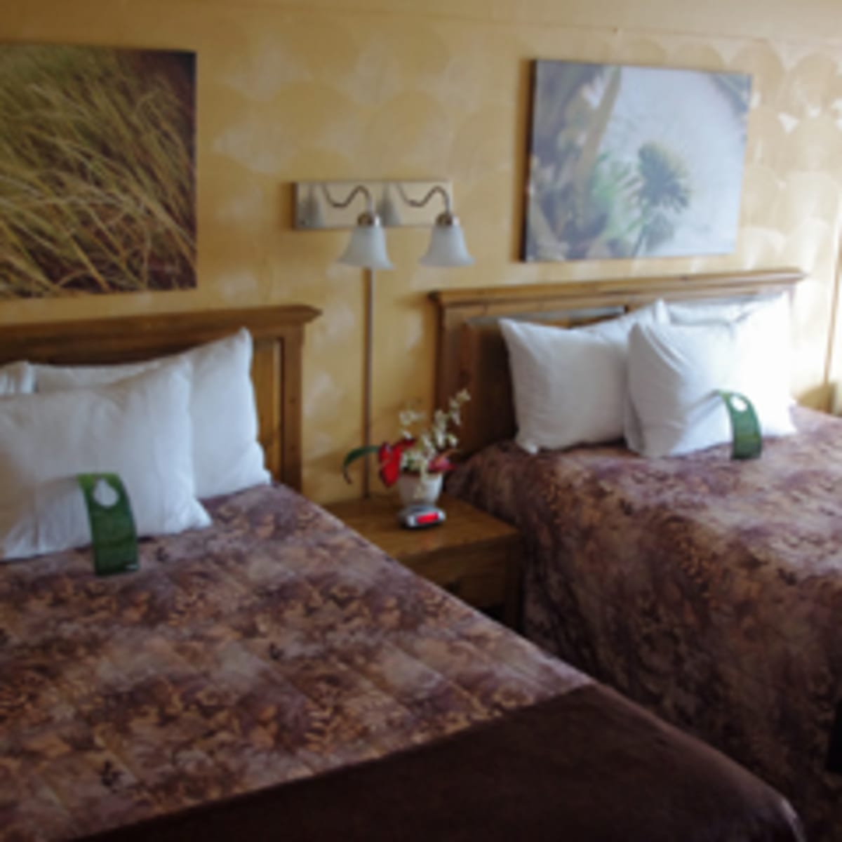 hotel_les_mouettes_3