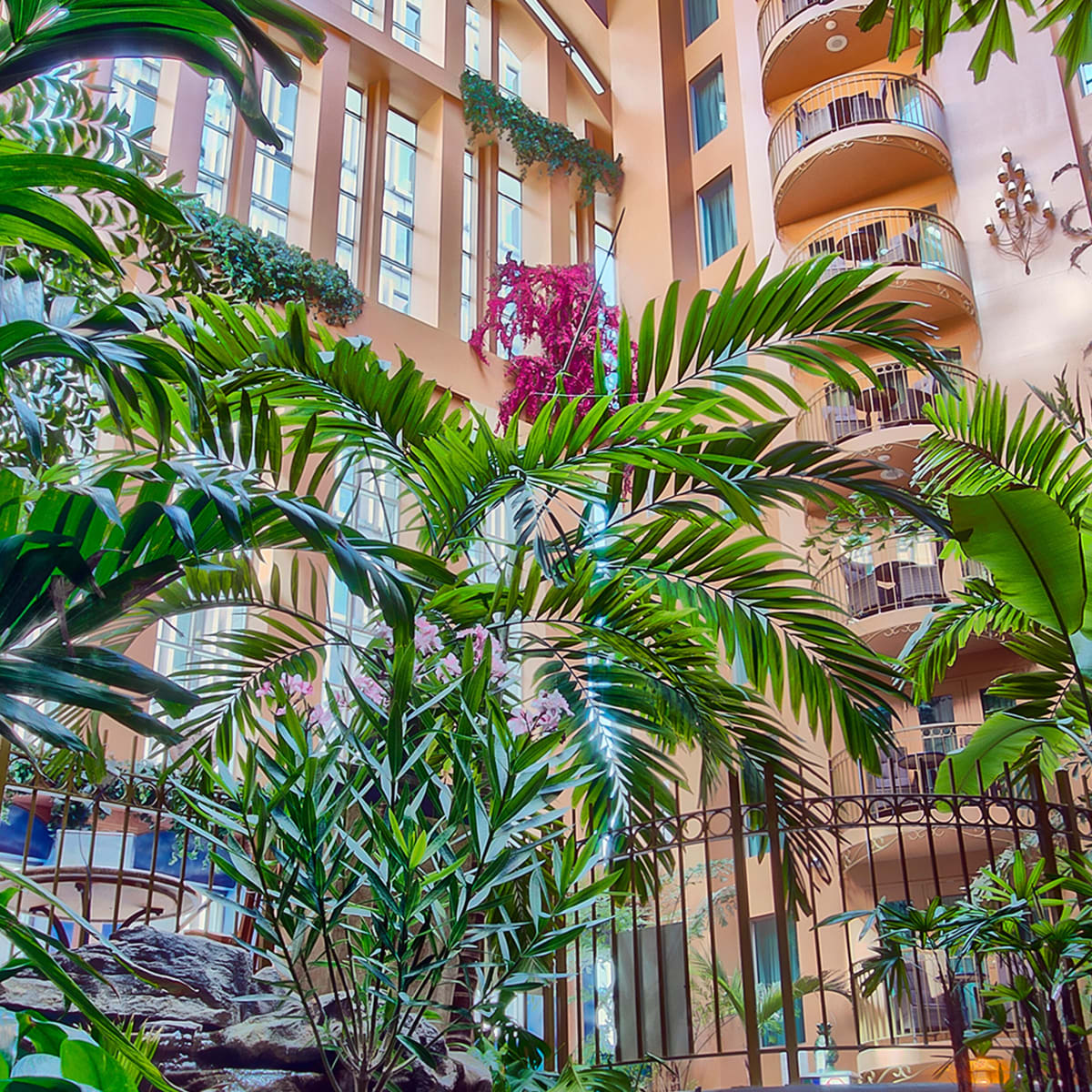 hotel_palace_royal_5