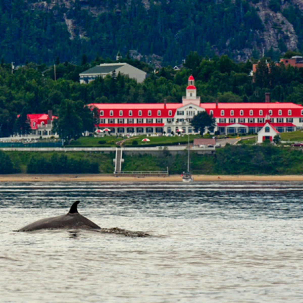 hotel_tadoussac_17
