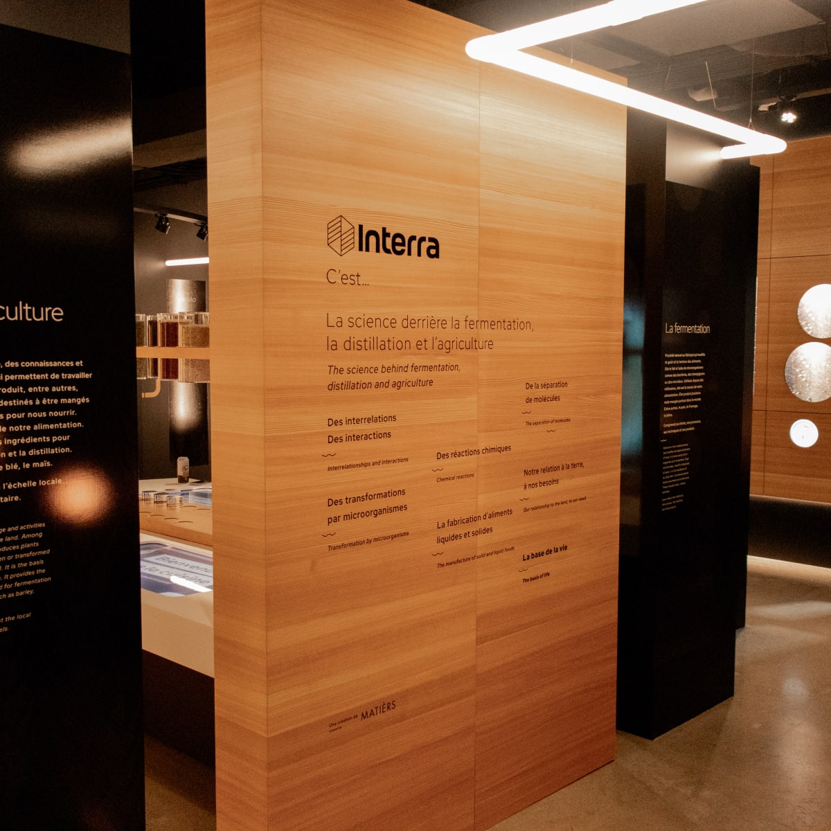 interra__experience_immersive_3