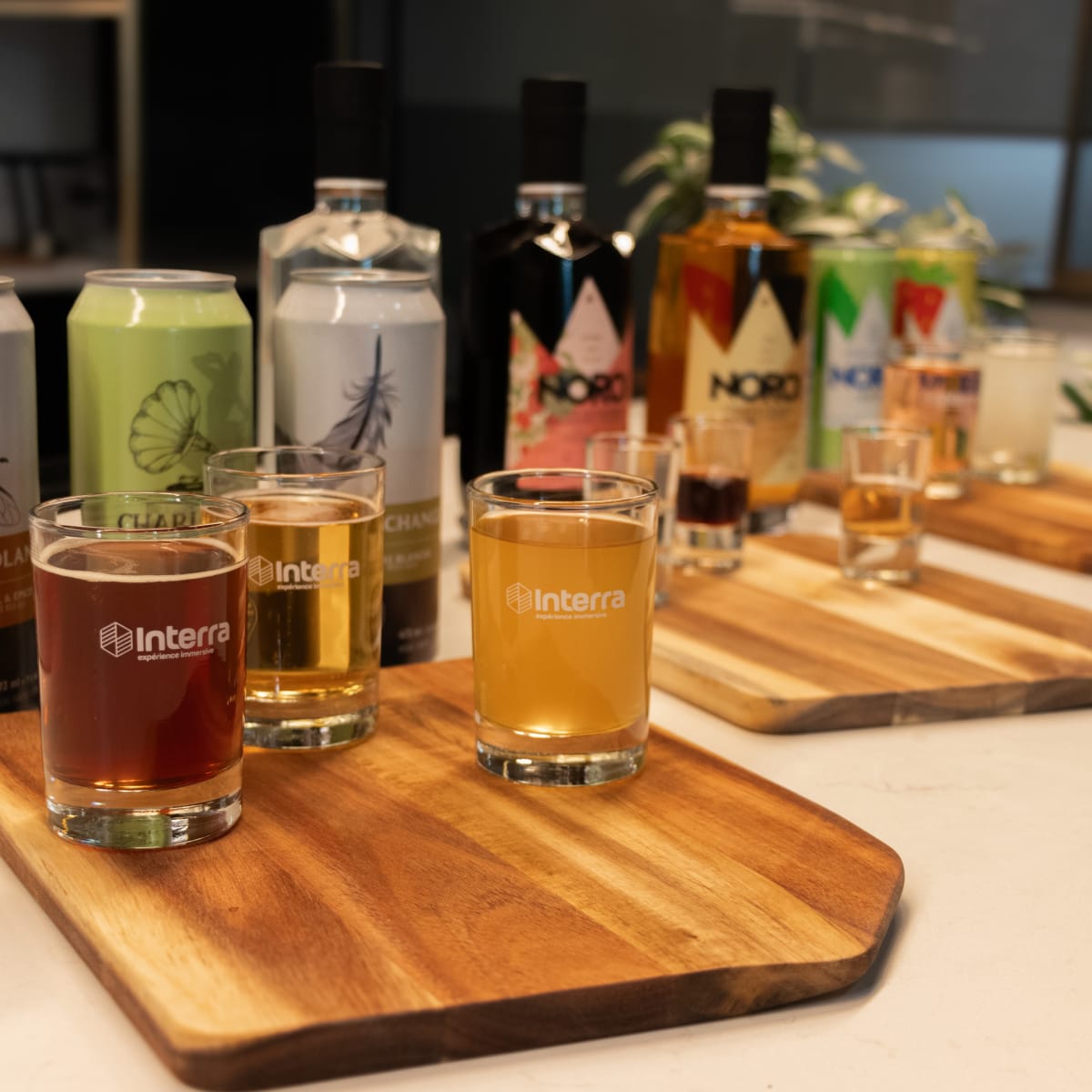 interra__experience_immersive_5