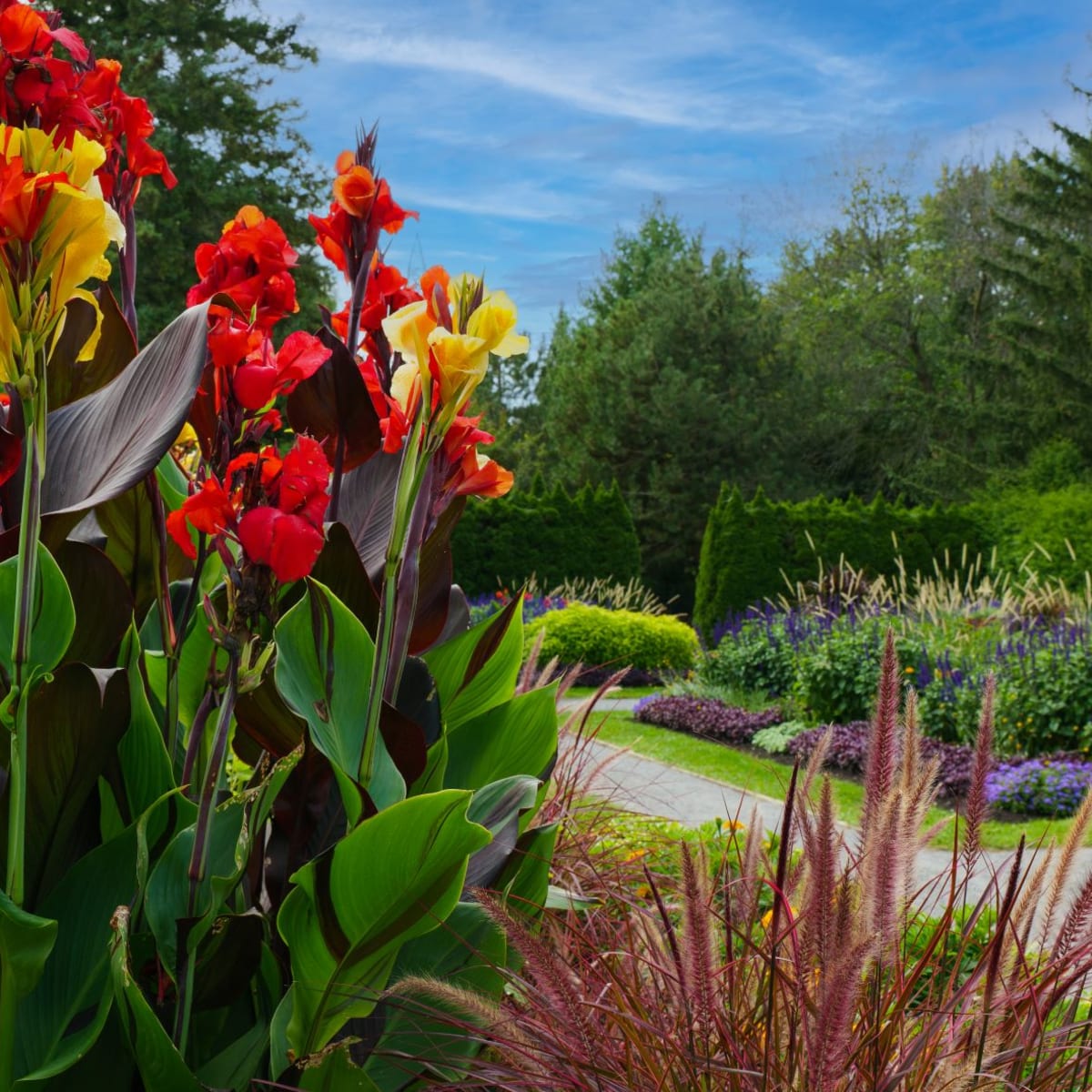 jardin_daniel_a_seguin_3