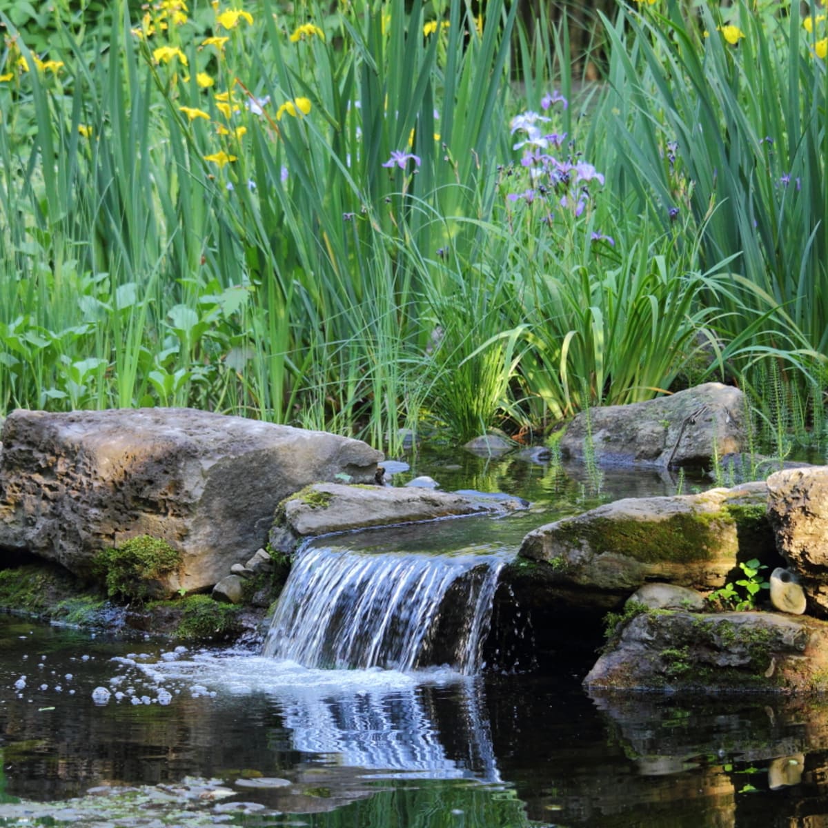 jardin_daniel_a_seguin_4
