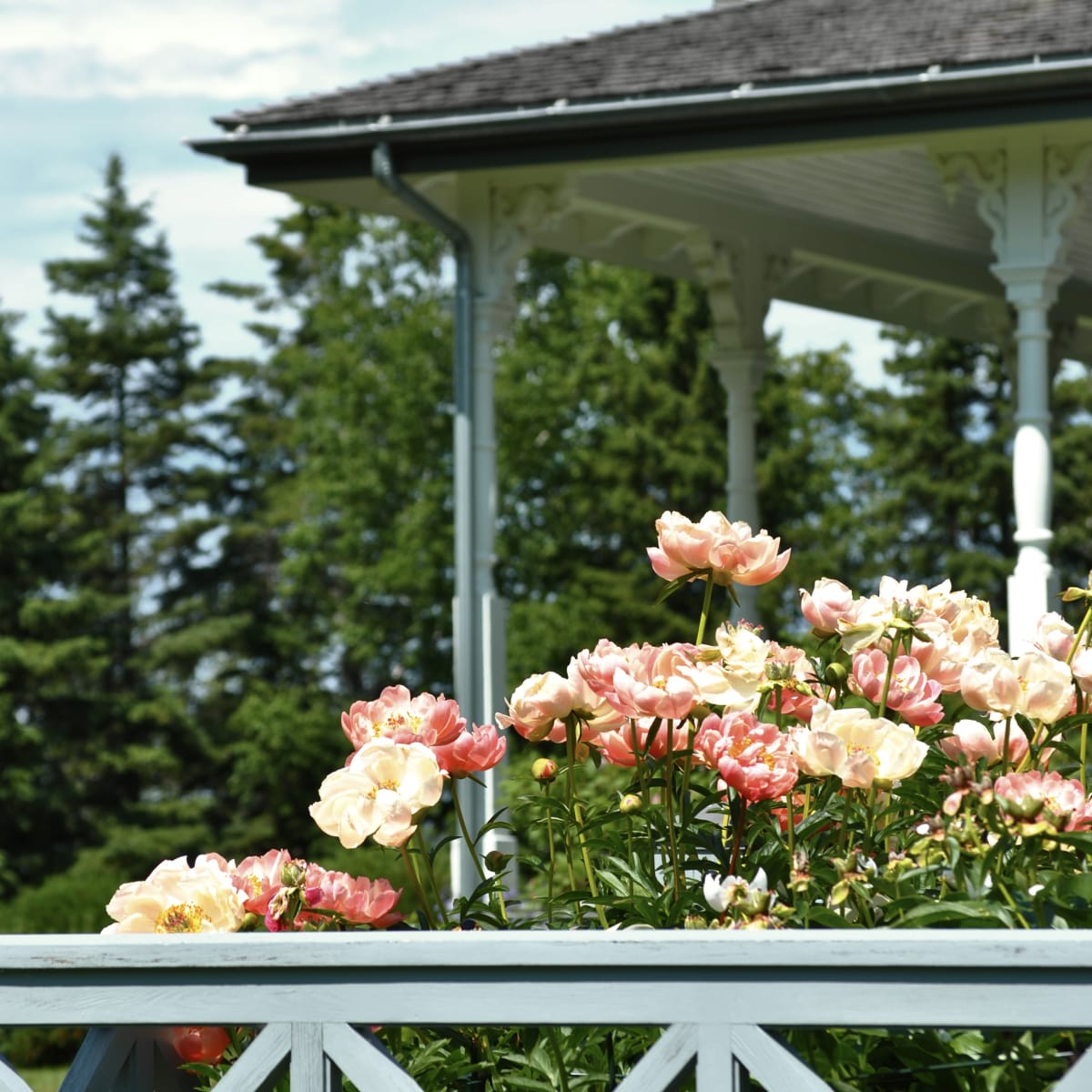 jardins_de_metis_20