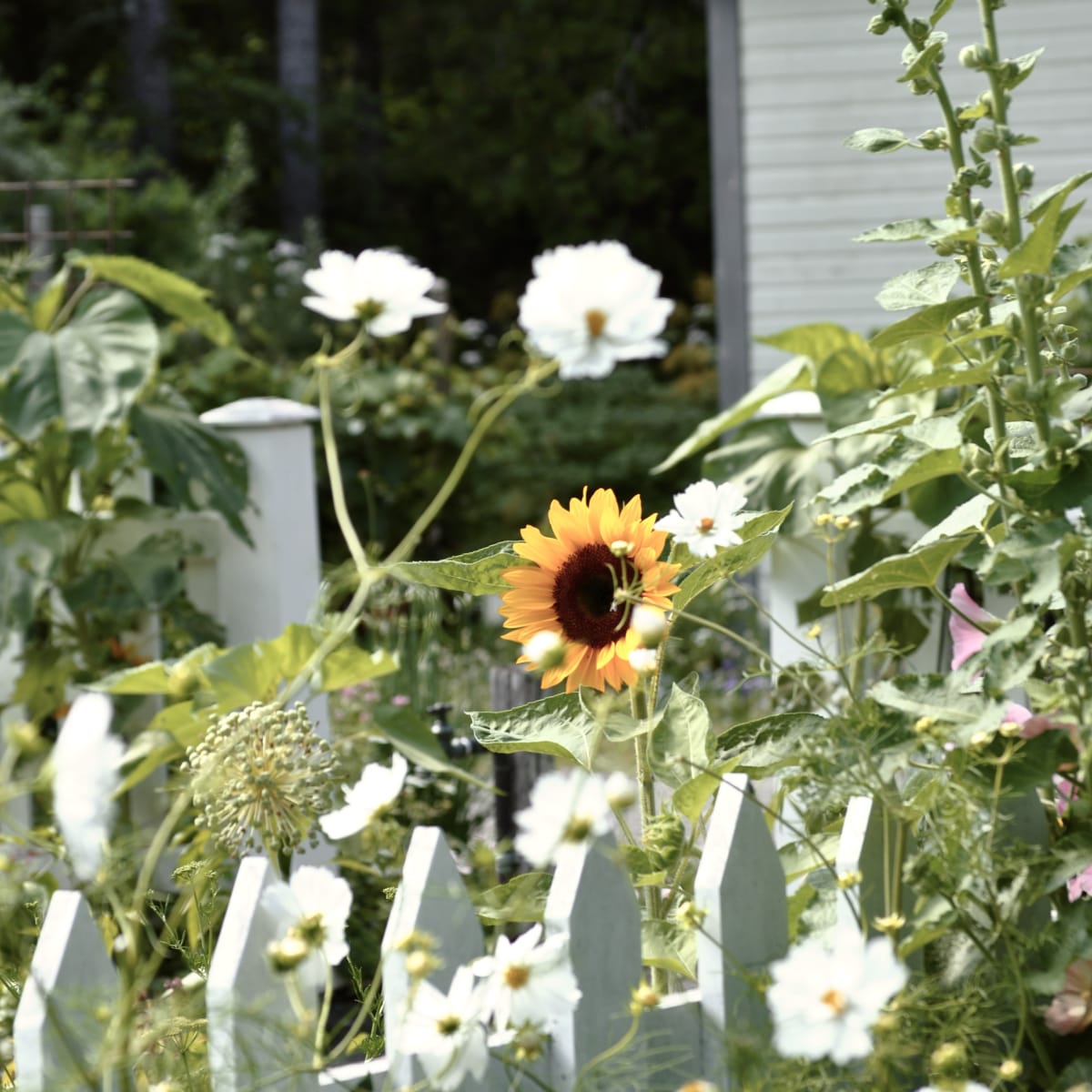 jardins_de_metis_4