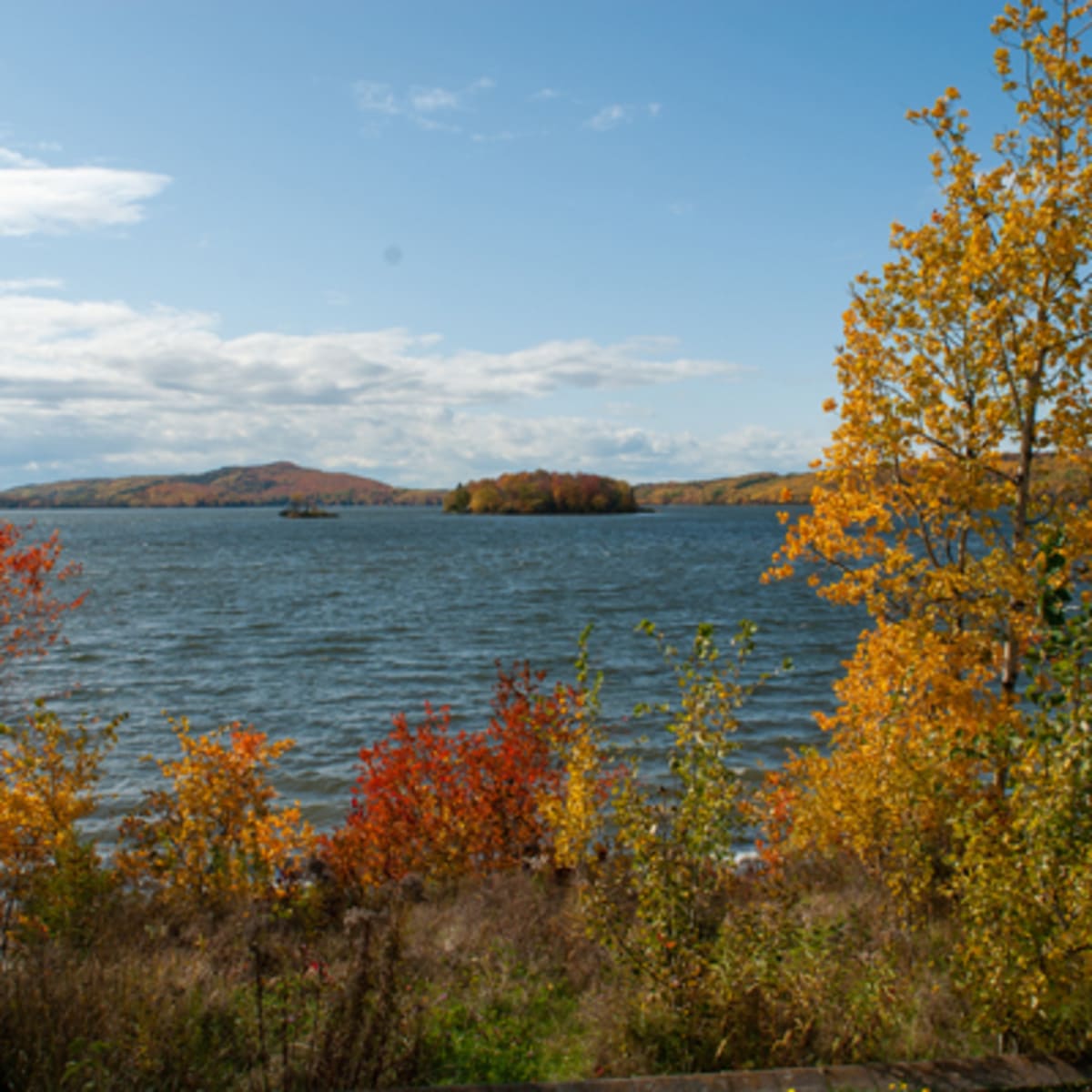 koa_bas_st_laurent_10