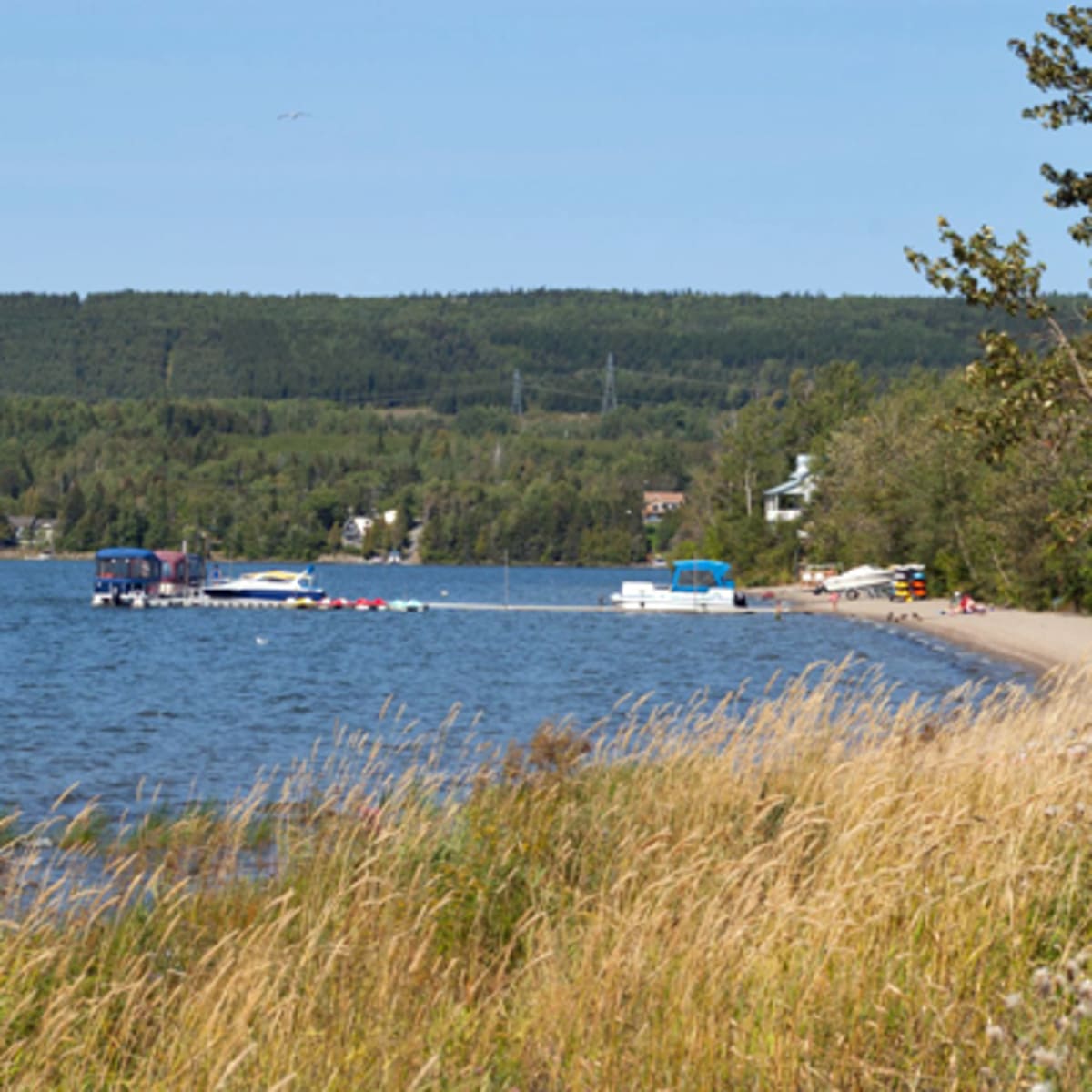 koa_bas_st_laurent_5