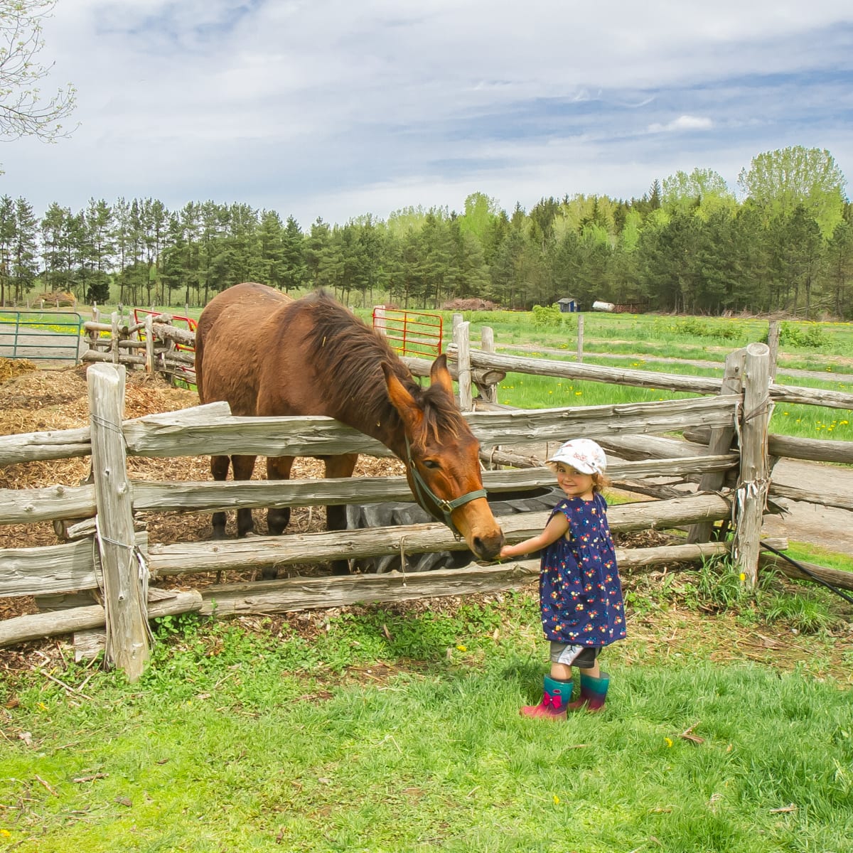 la_ferme_quinn_14
