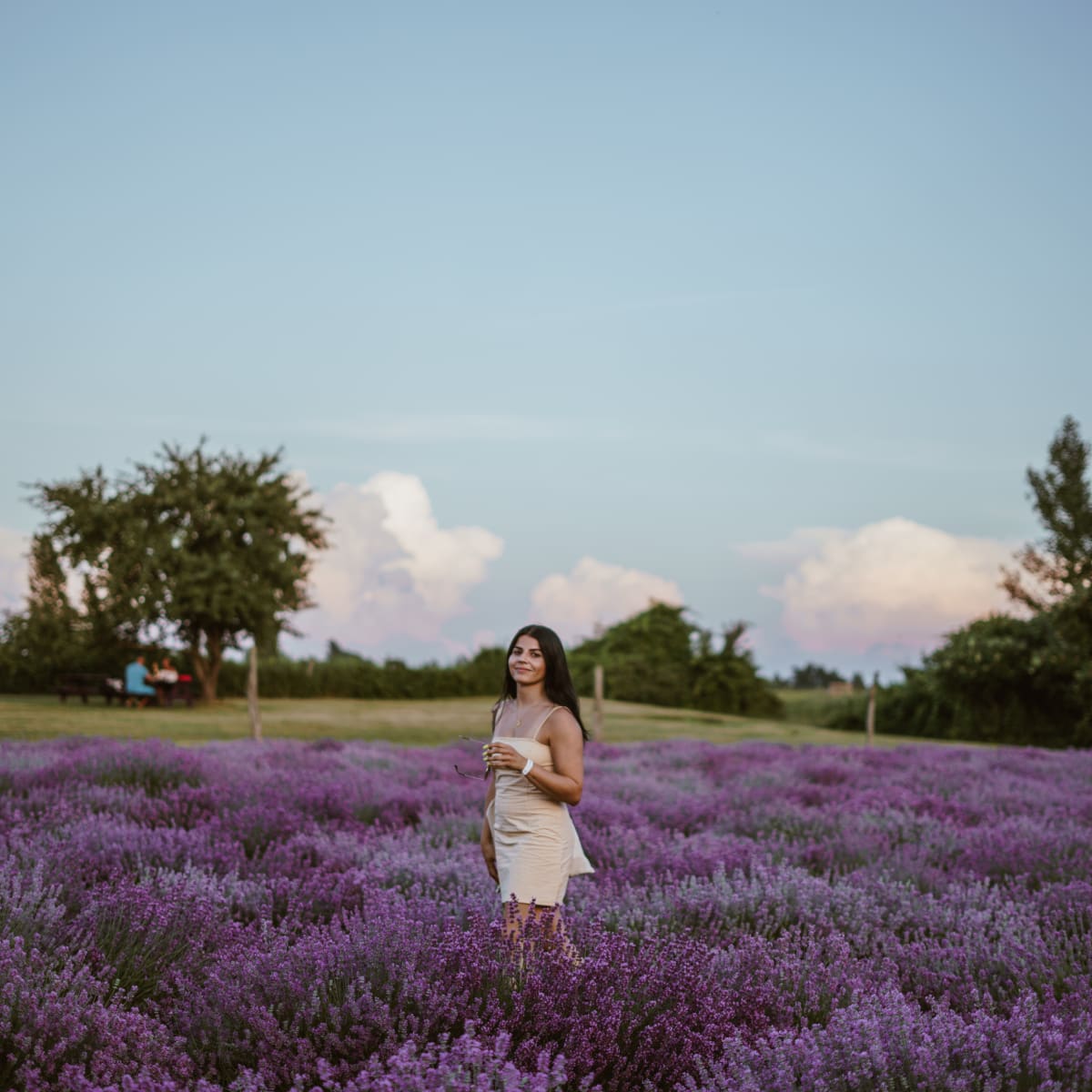 la_maison_lavande_culture_et_parfumerie_15