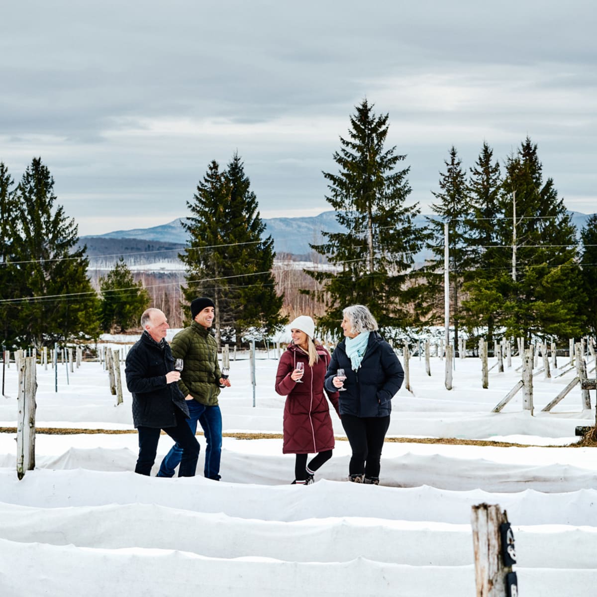 la_route_des_vins_de_brome_missisquoi_1_h