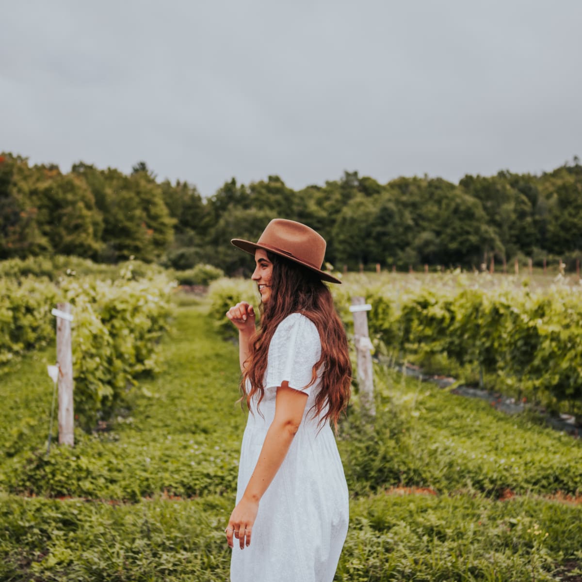 la_route_des_vins_de_brome_missisquoi_2