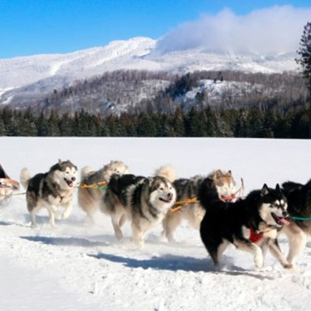 le_centre_dactivites_tremblant_3_h