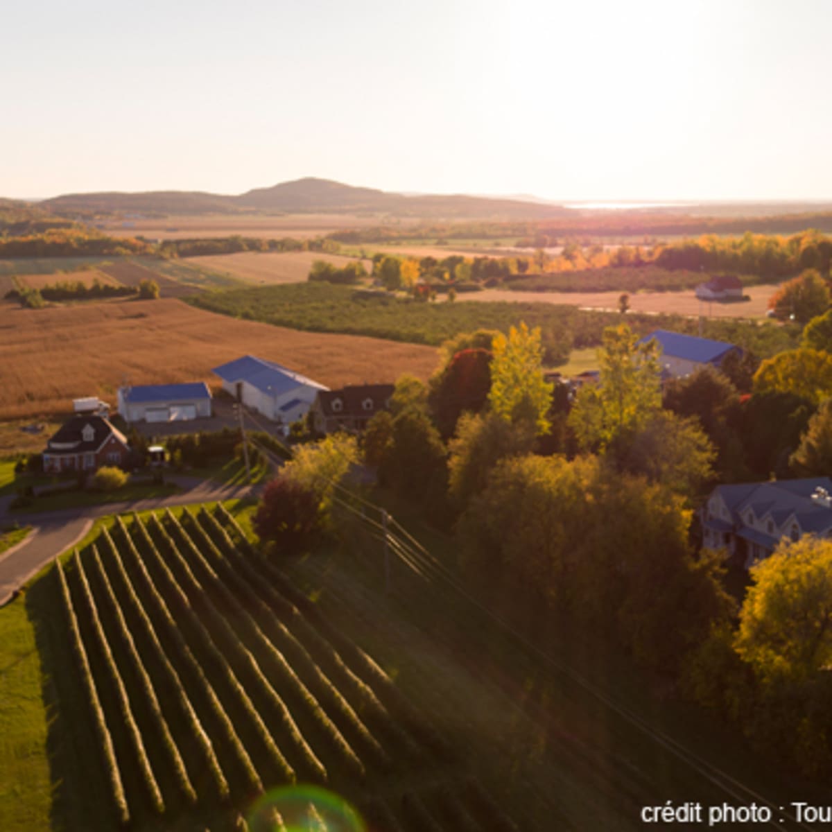 le_chemin_du_terroir_1_a