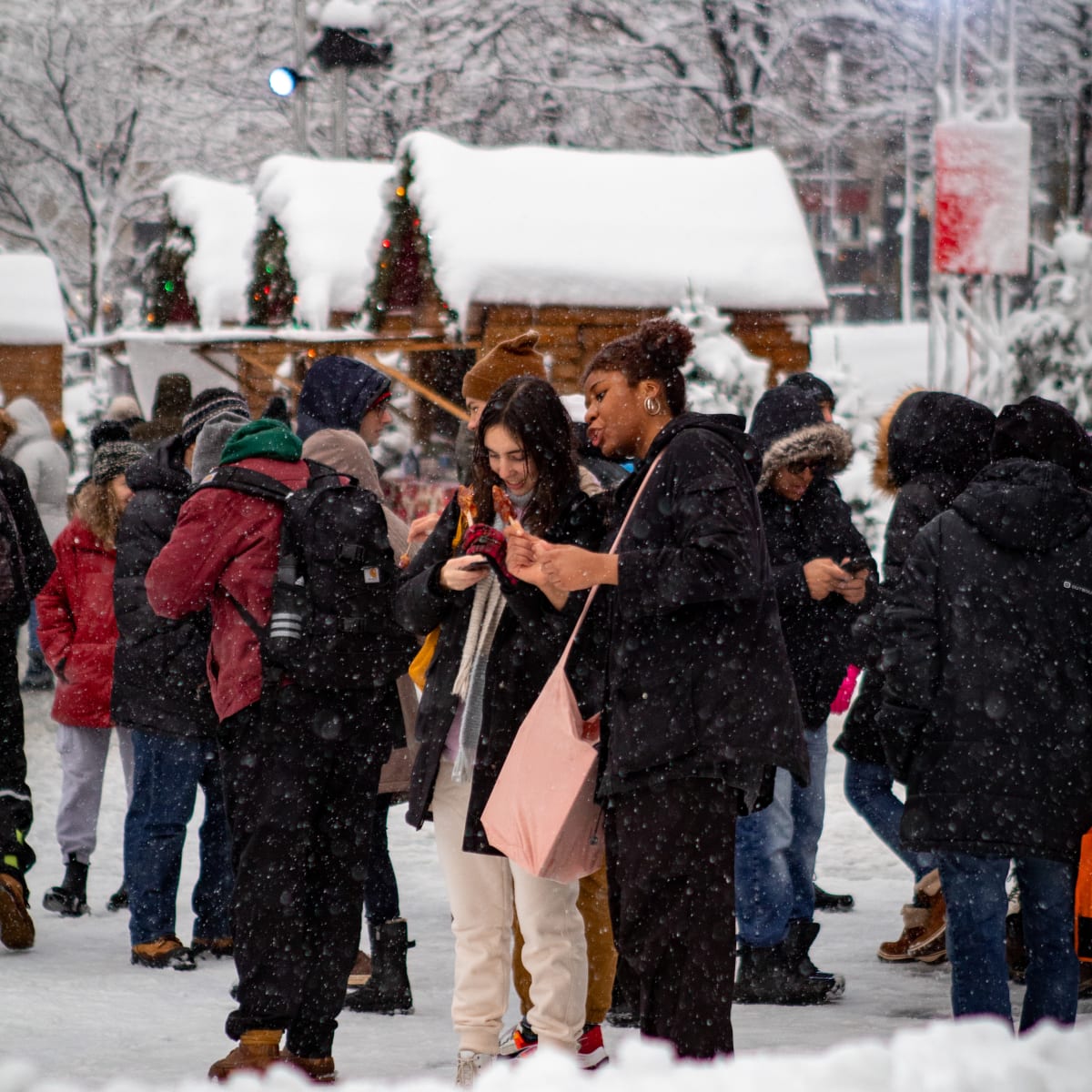 le_grand_marche_de_noel_de_montreal_3