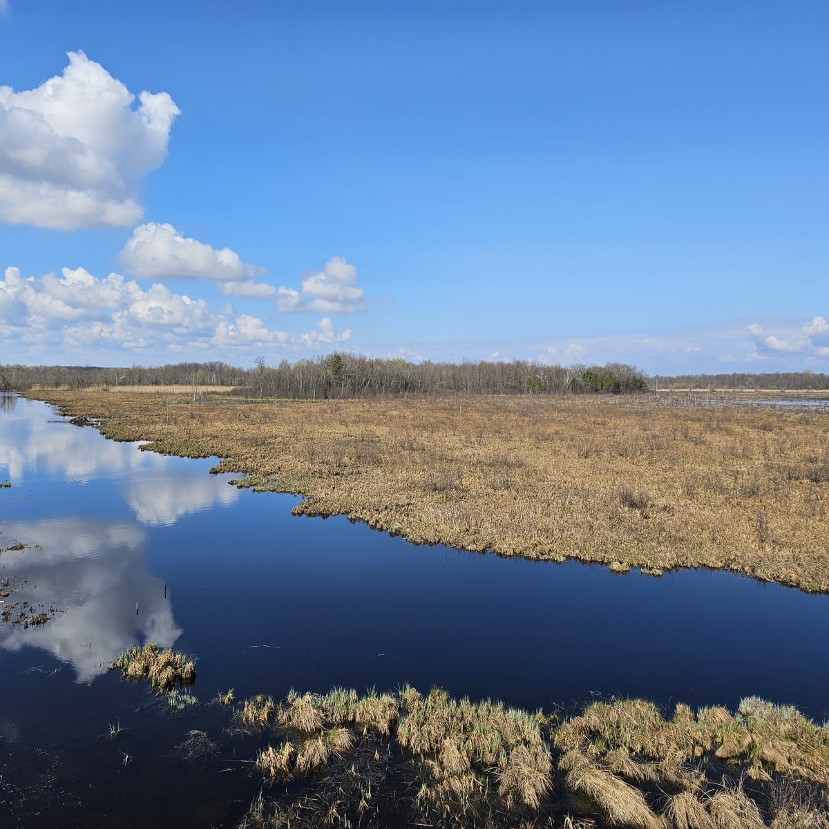 les_amis_de_la_reserve_nationale_de_faune_du_lac_saint_francois_1