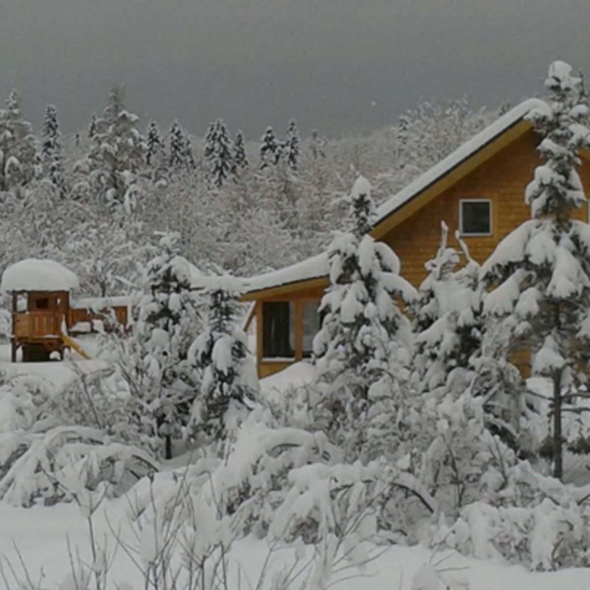 les_chalets_st_fulgence_1_h