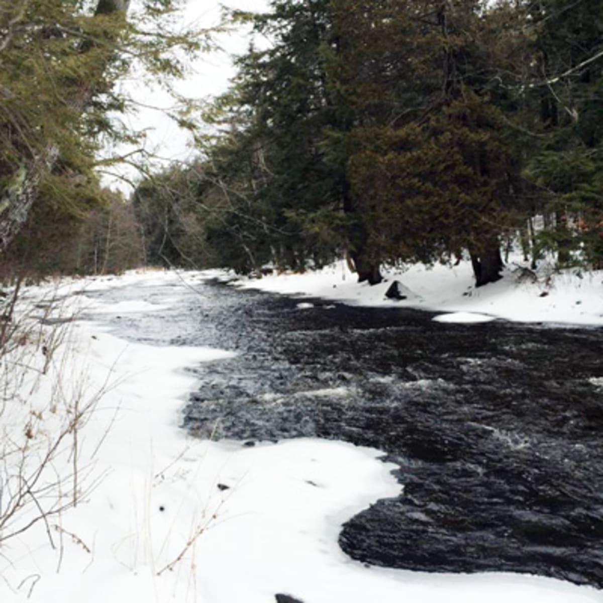 les_coteaux_missisquoi_10_h