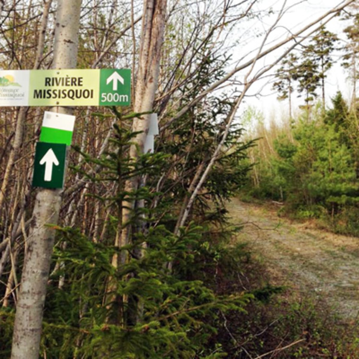 les_coteaux_missisquoi_5