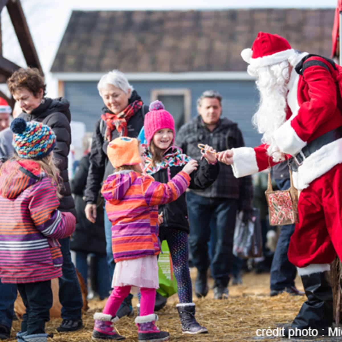les_marches_de_noel_de_brome_missisquoi_3