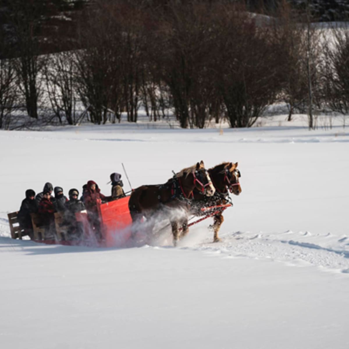 les_montagnards_de_charlevoix_1_h