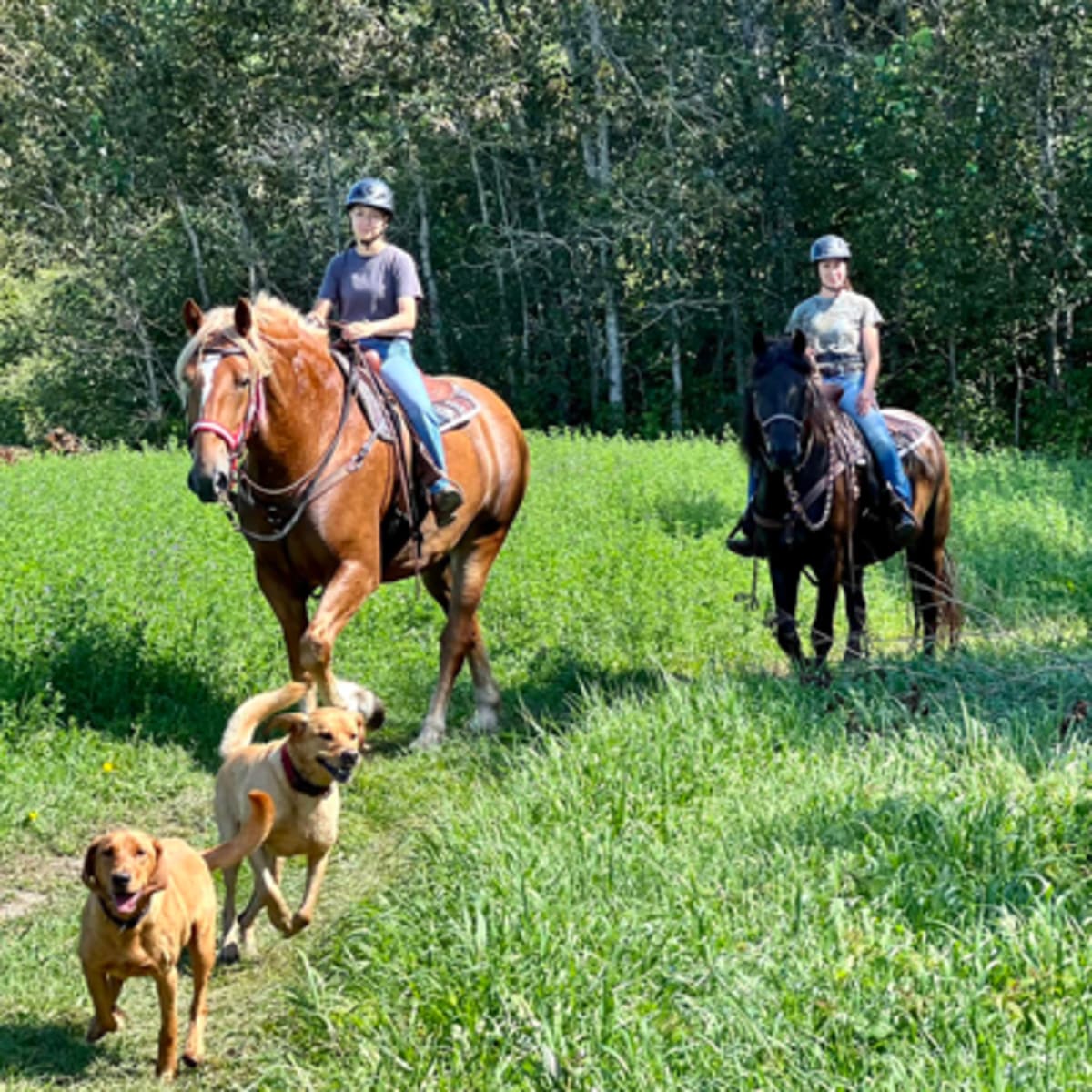 les_montagnards_de_charlevoix_2